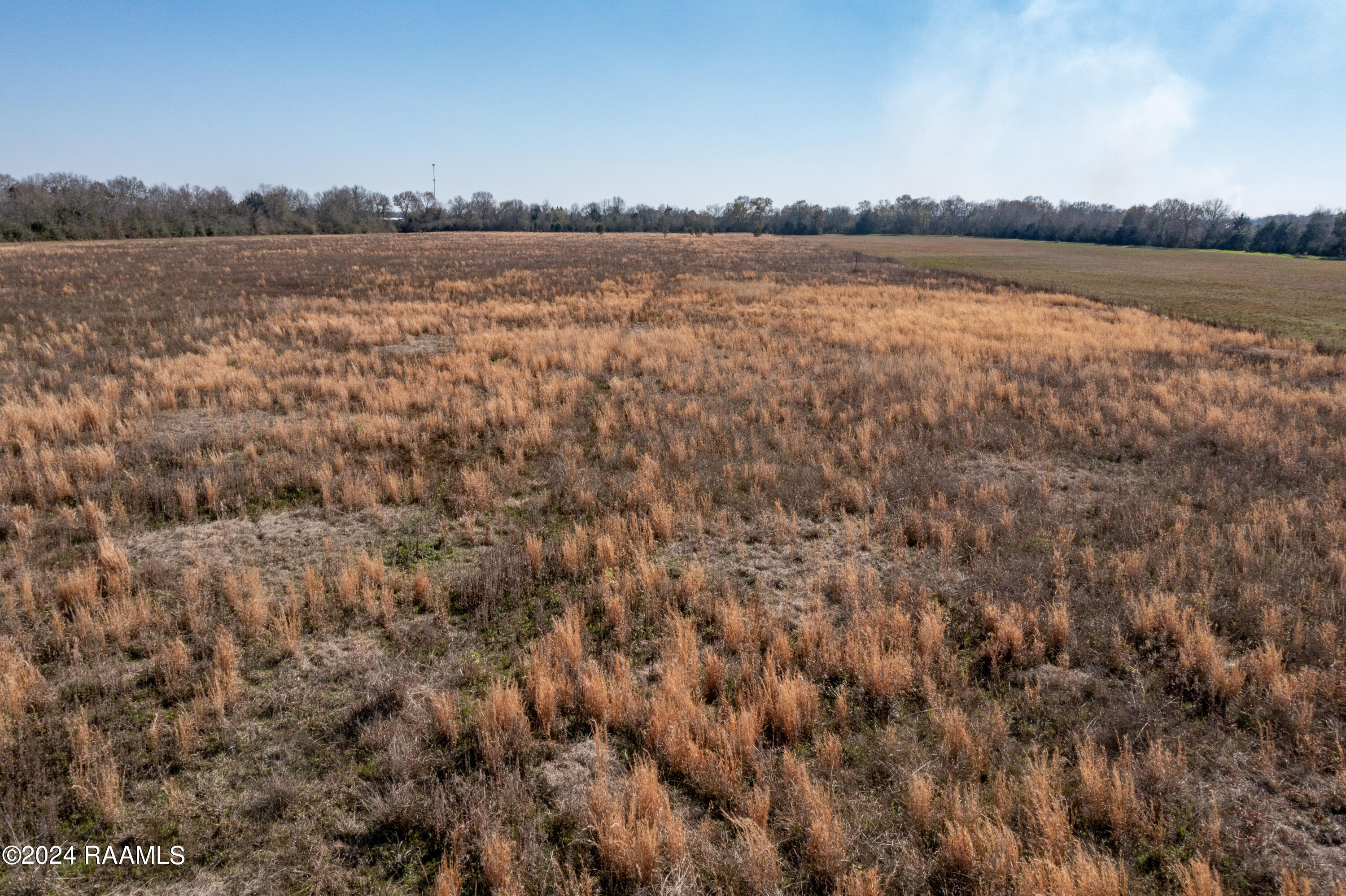 Tbd Lilly Road Iota, LA 70543 - Photo 11 of 15 DJI_0212