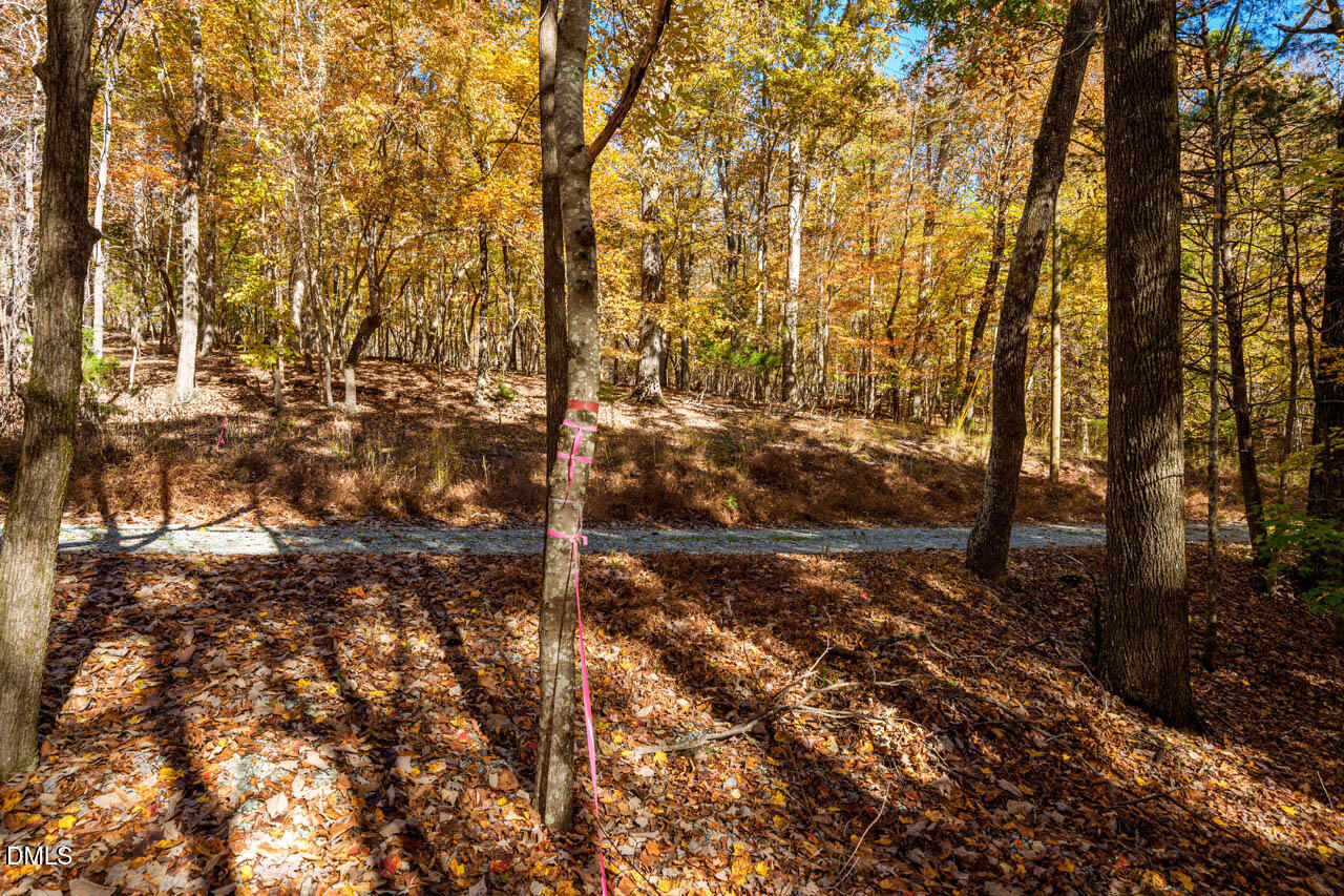 1122 Ridgelift Lane Hillsborough, NC 27278 - Photo 12 of 26 a view of a yard with trees