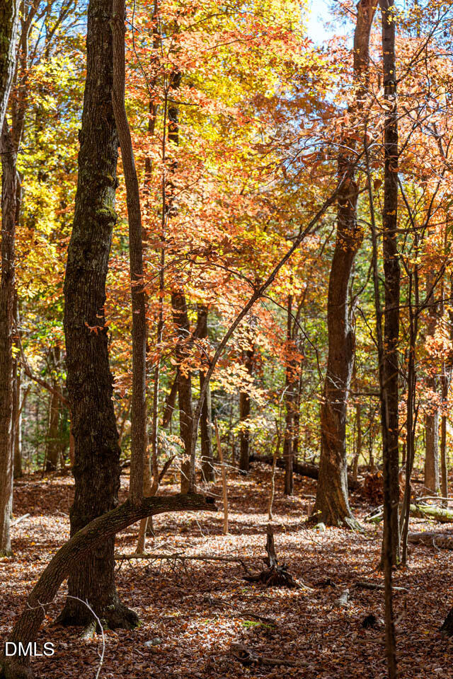 1122 Ridgelift Lane Hillsborough, NC 27278 - Photo 13 of 26 a view of outdoor space with lots of trees