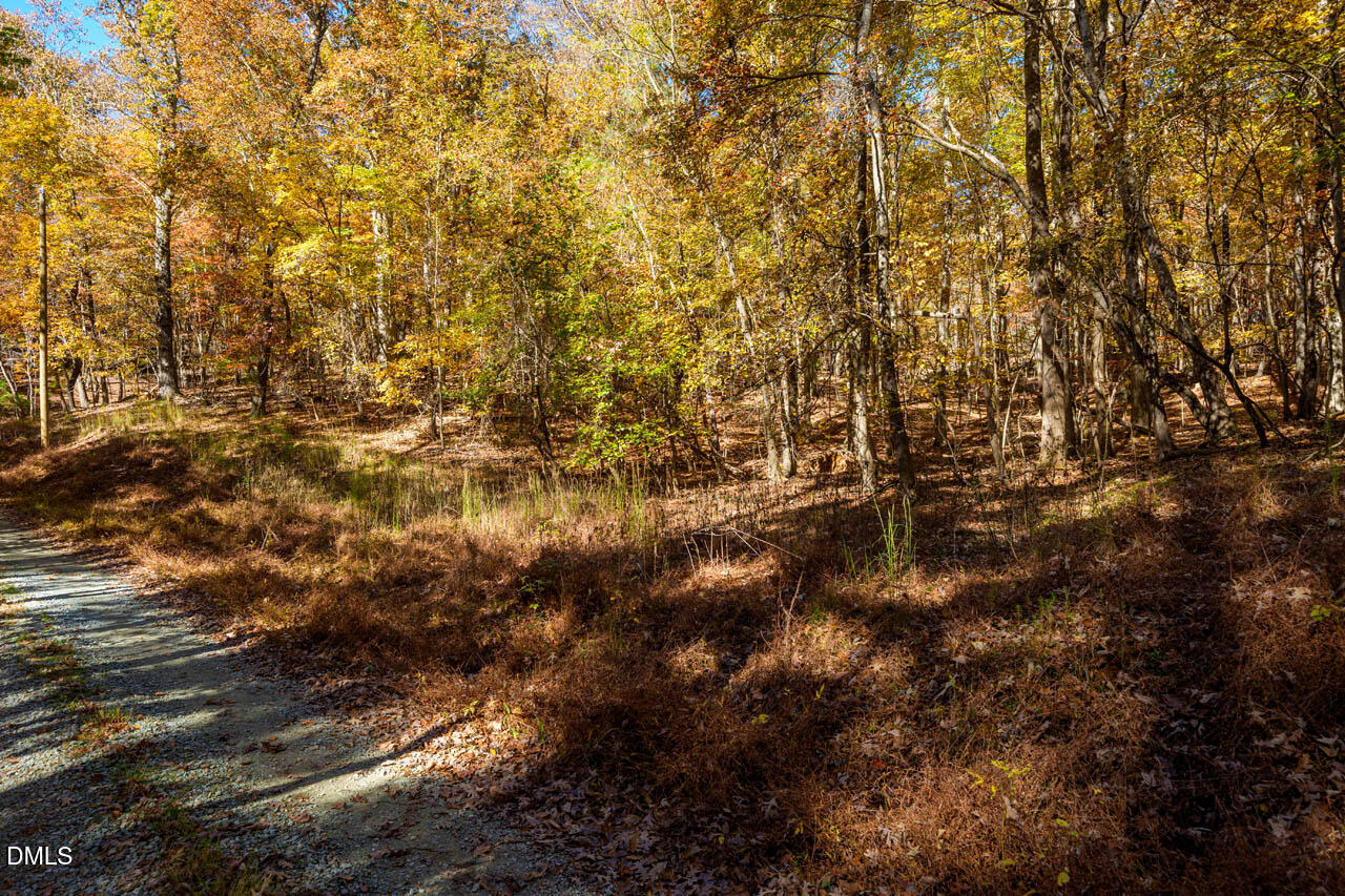1122 Ridgelift Lane Hillsborough, NC 27278 - Photo 15 of 26 a view of a field