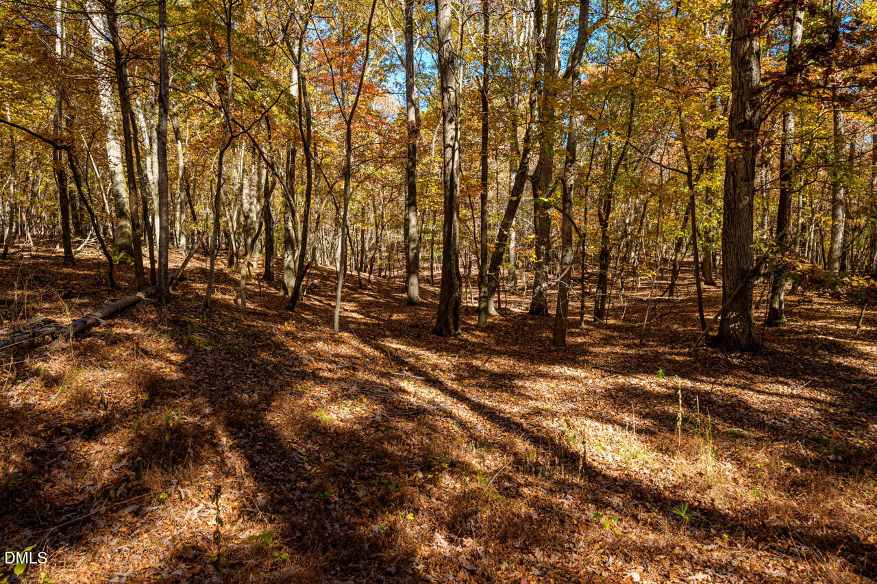 1122 Ridgelift Lane Hillsborough, NC 27278 - Photo 16 of 26 a view of outdoor space