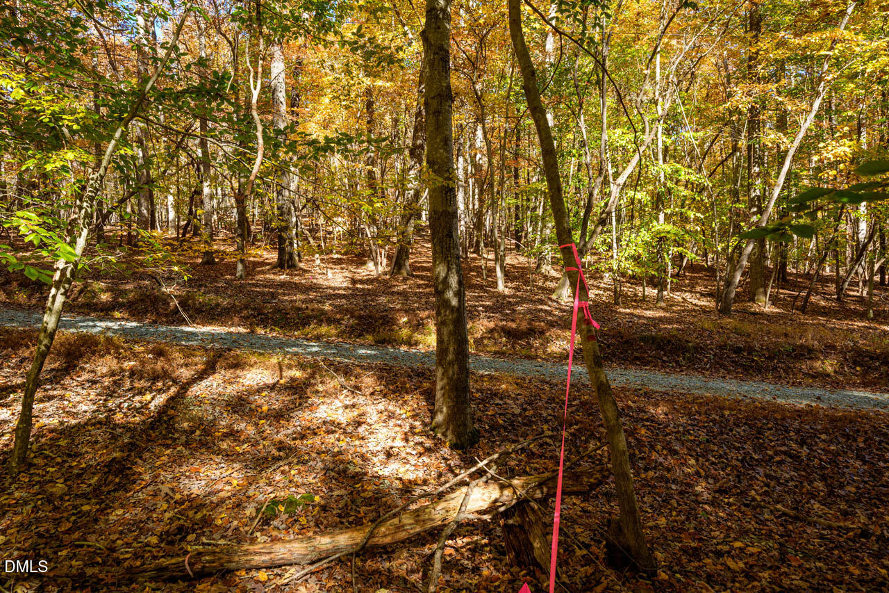 1122 Ridgelift Lane Hillsborough, NC 27278 - Photo 17 of 26 a view of yard