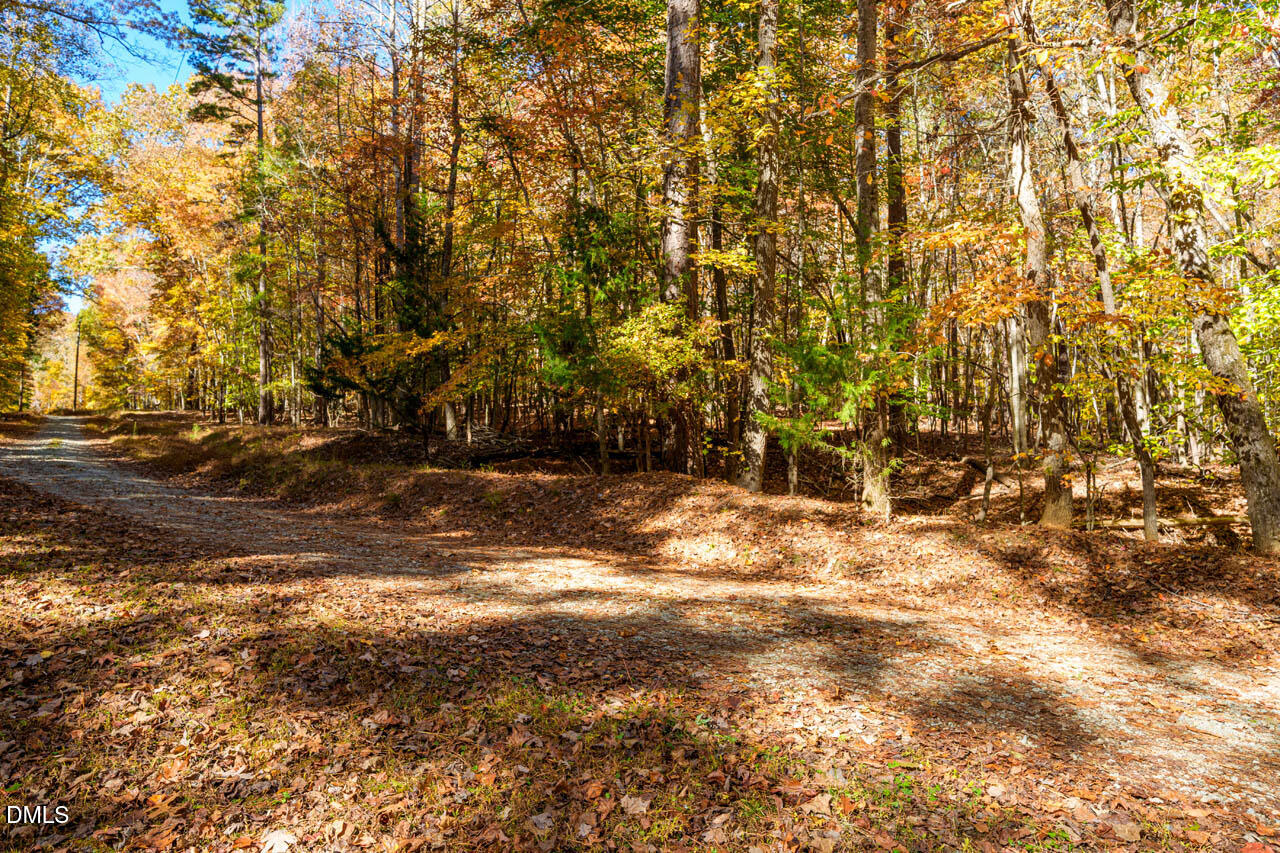 1122 Ridgelift Lane Hillsborough, NC 27278 - Photo 19 of 26 a view of a yard with trees