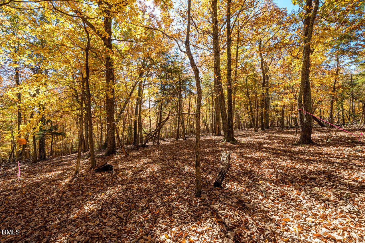 1122 Ridgelift Lane Hillsborough, NC 27278 - Photo 23 of 26 a view of outdoor space with trees