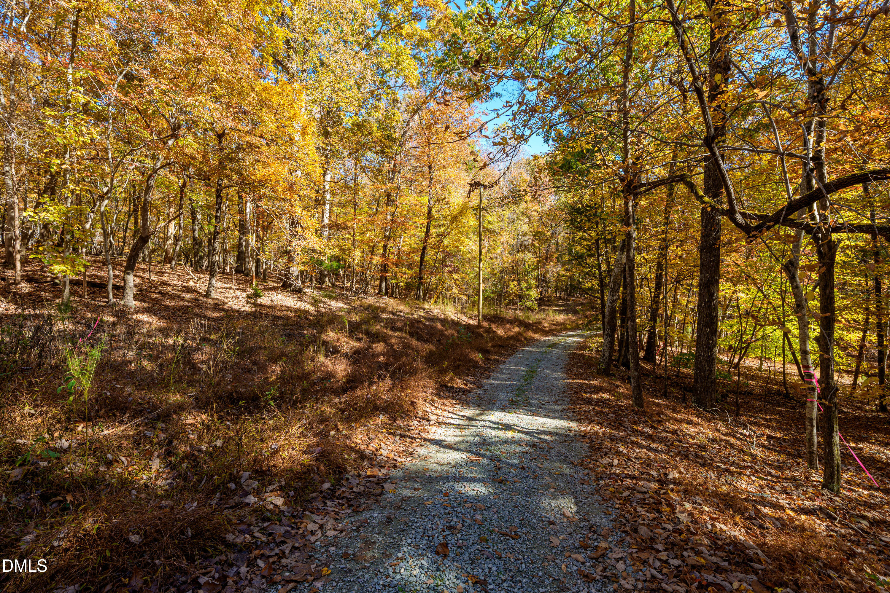 1122 Ridgelift Lane Hillsborough, NC 27278 - Photo 8 of 26 a view of outdoor space and trees