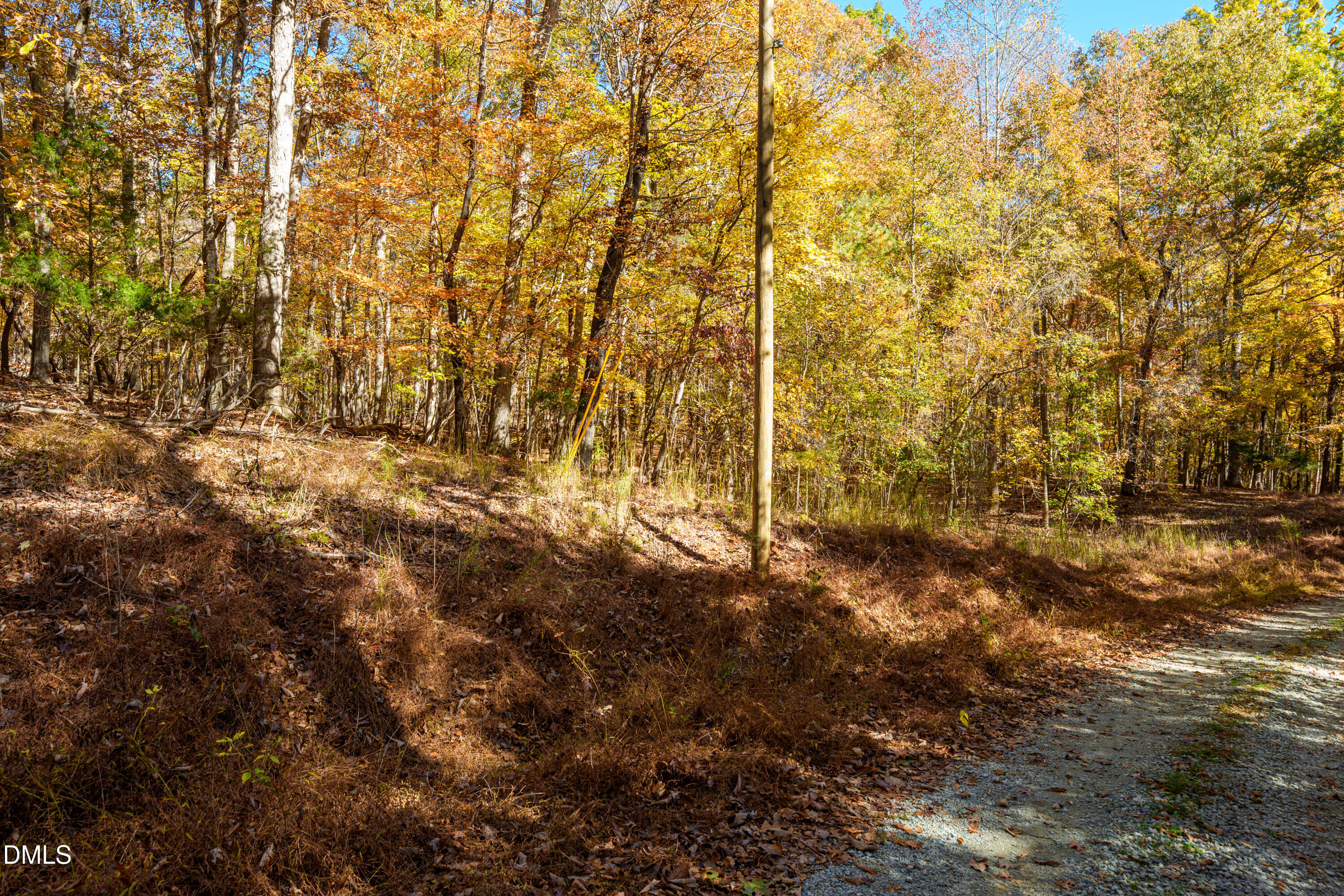 1122 Ridgelift Lane Hillsborough, NC 27278 - Photo 9 of 26 a view of a yard