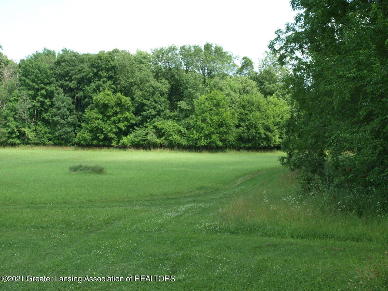 5806 Findlay Road St. Johns, MI 48879 - Photo 43 of 44 P7176433