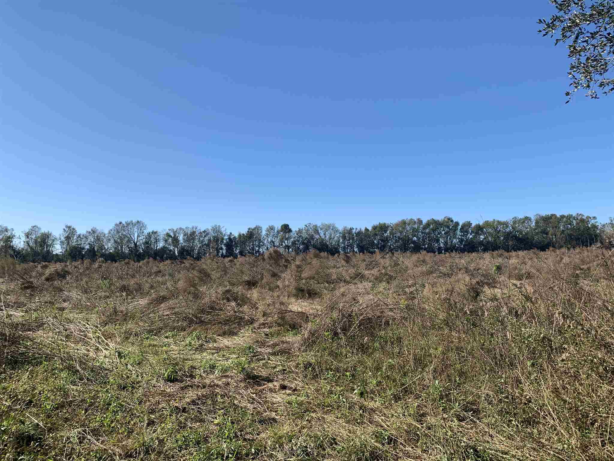 10260 County Road 32 Fairhope, AL 36532 - Photo 18 of 24