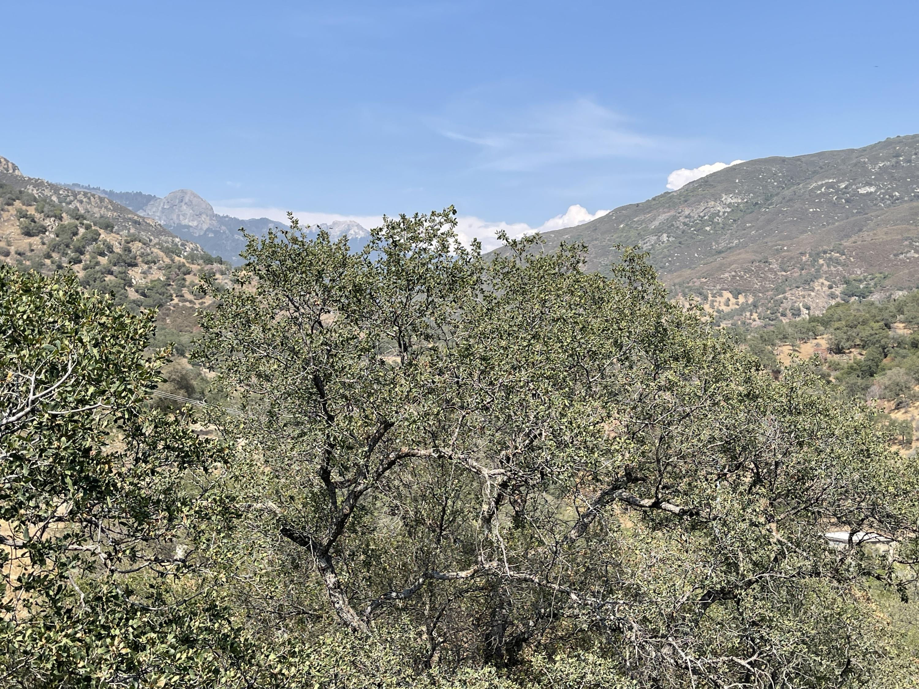 46685 Sycamore Drive, Unit B Three Rivers, CA 93271 - Photo 21 of 24 Photo Jun 16, 3 34 13 PM