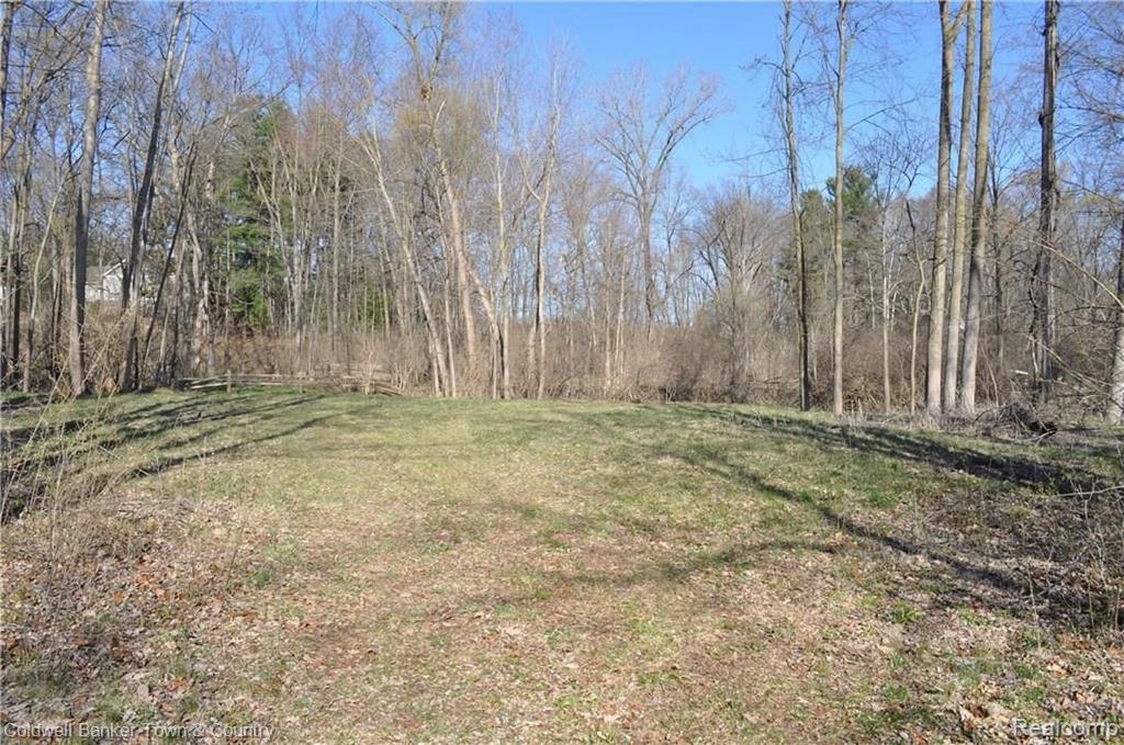 0 Sarah Pinckney, MI 48169 - Photo 11 of 24 Gallery Image 11