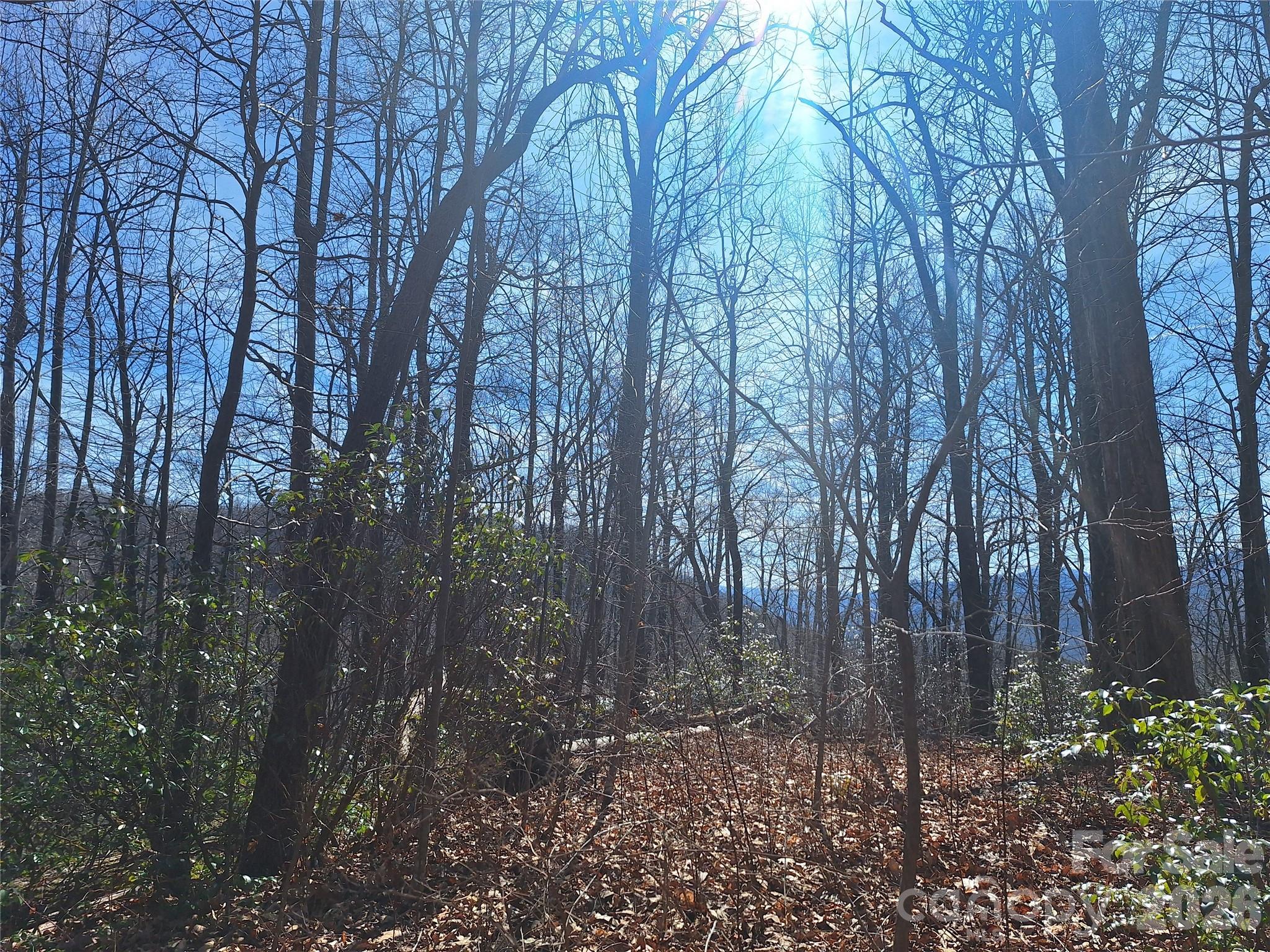 965 Wolf Pen Road Old Fort, NC 28762 - Photo 1 of 26 a backyard of a house with lots of green space
