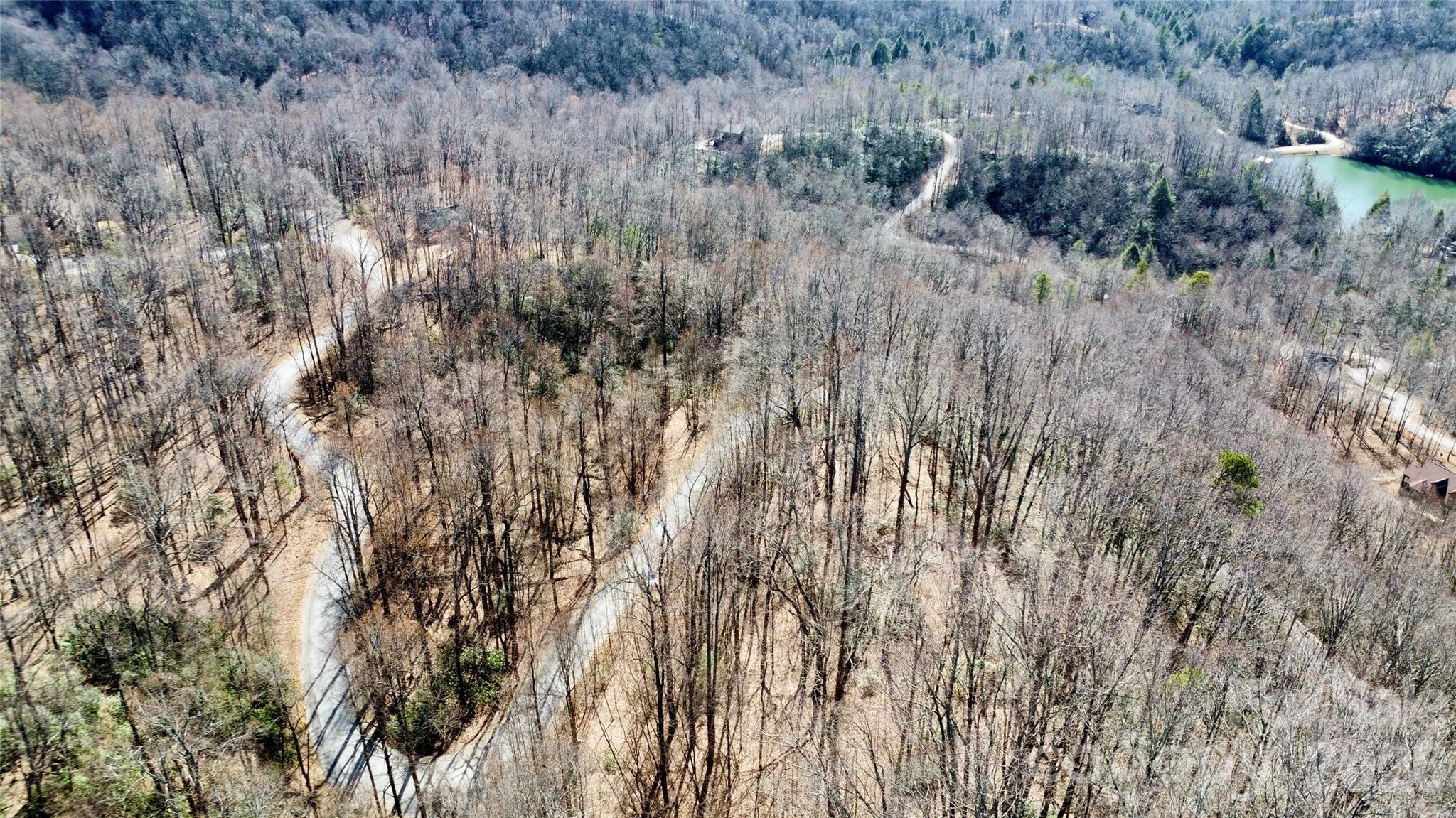 965 Wolf Pen Road Old Fort, NC 28762 - Photo 11 of 26 a view of forest