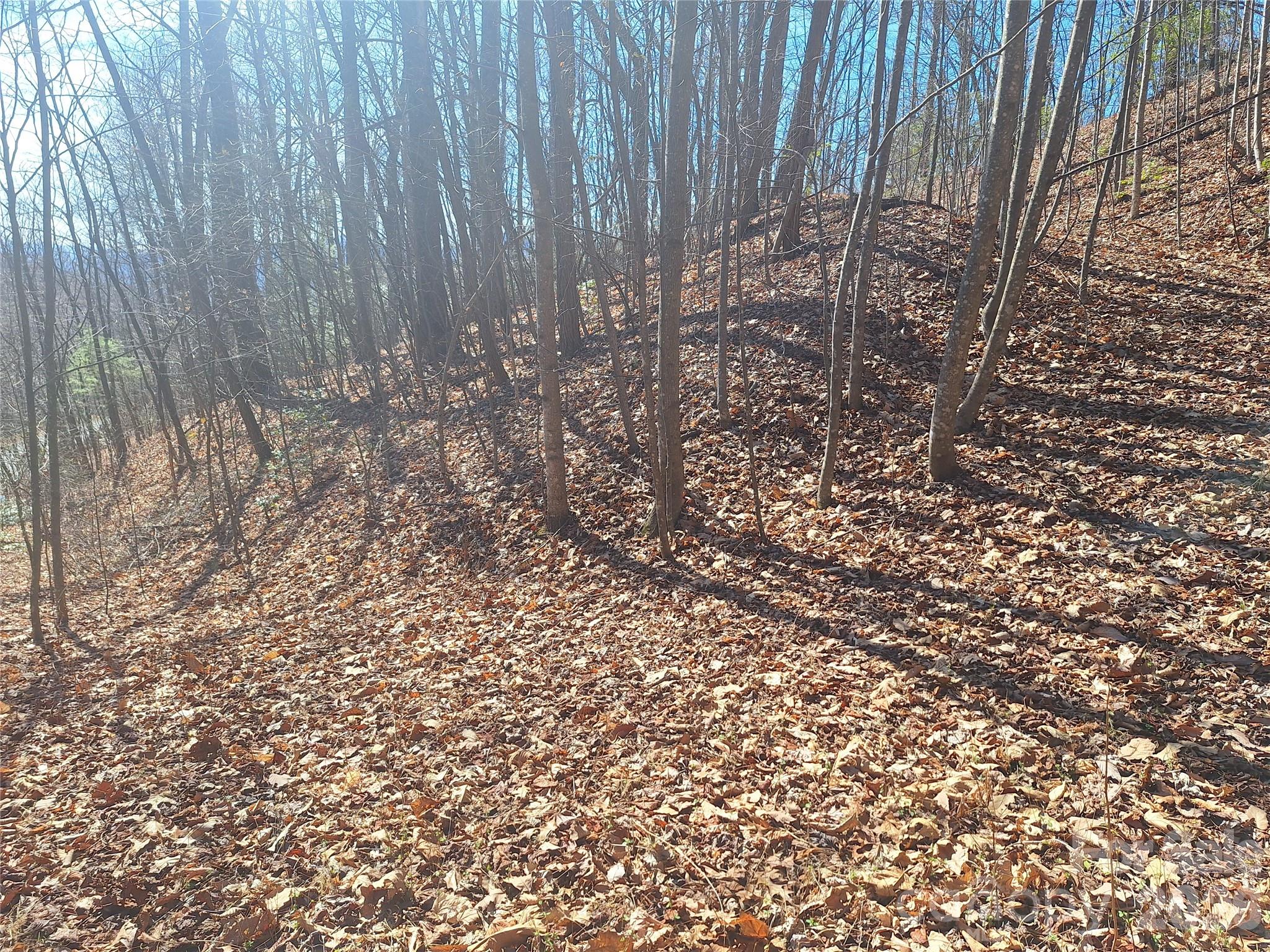 965 Wolf Pen Road Old Fort, NC 28762 - Photo 18 of 26