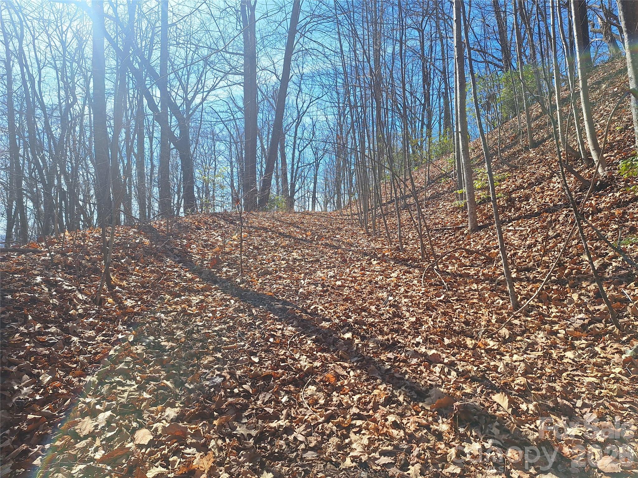 965 Wolf Pen Road Old Fort, NC 28762 - Photo 19 of 26 a view of a backyard with pathway