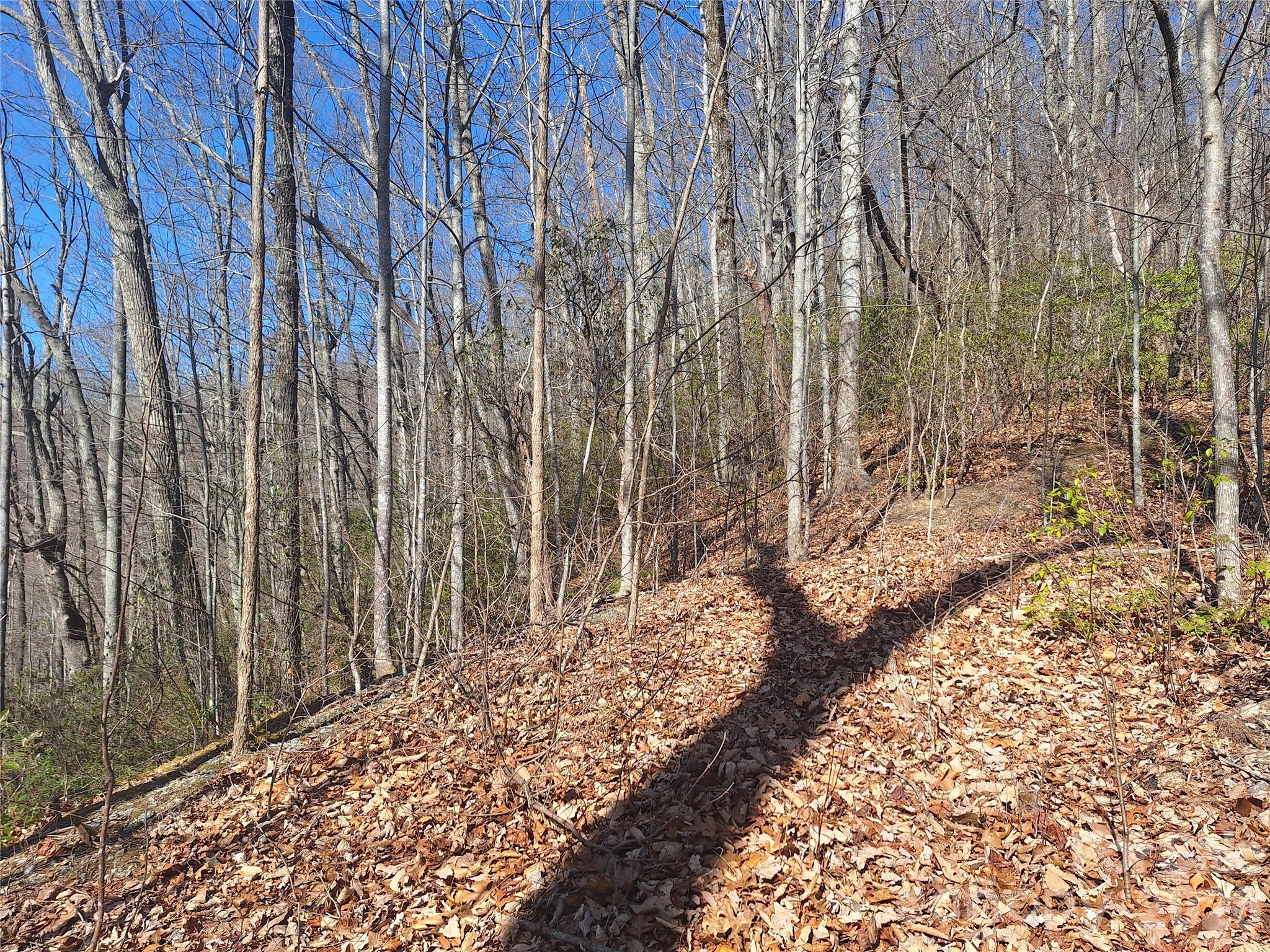 965 Wolf Pen Road Old Fort, NC 28762 - Photo 21 of 26 a view of a backyard of the house