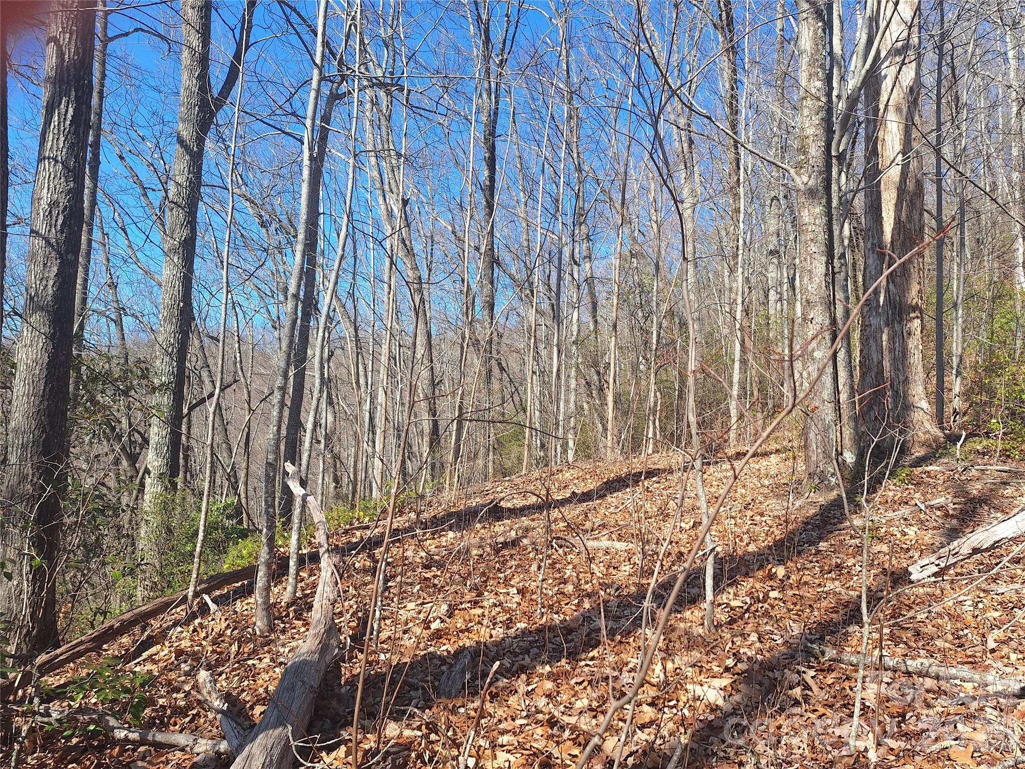 965 Wolf Pen Road Old Fort, NC 28762 - Photo 22 of 26 a view of a backyard of the house