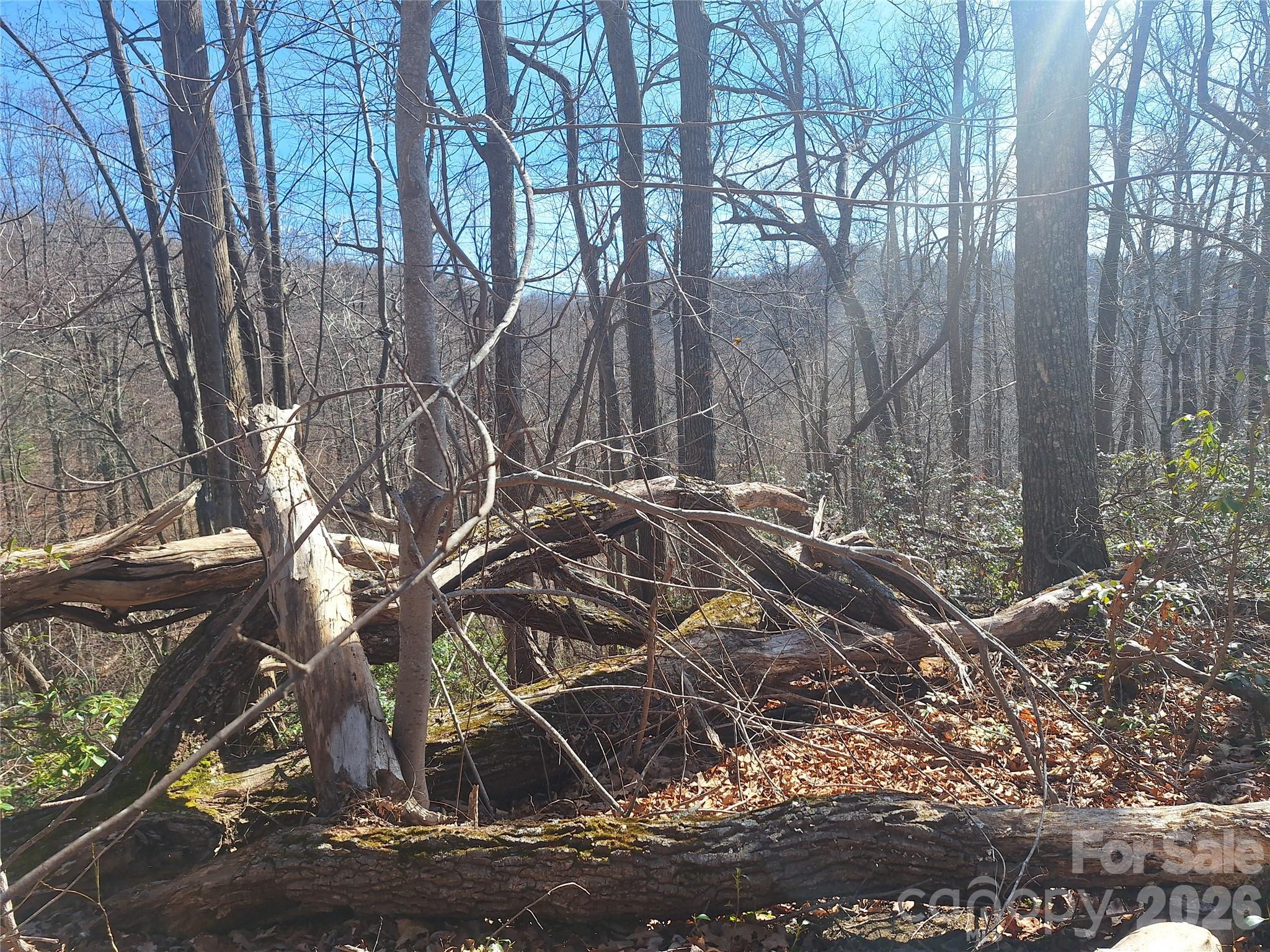 965 Wolf Pen Road Old Fort, NC 28762 - Photo 23 of 26 a view of a yard with plants and trees