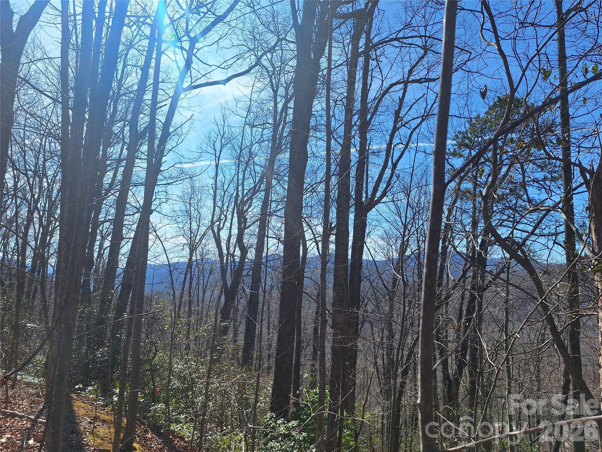 965 Wolf Pen Road Old Fort, NC 28762 - Photo 25 of 26