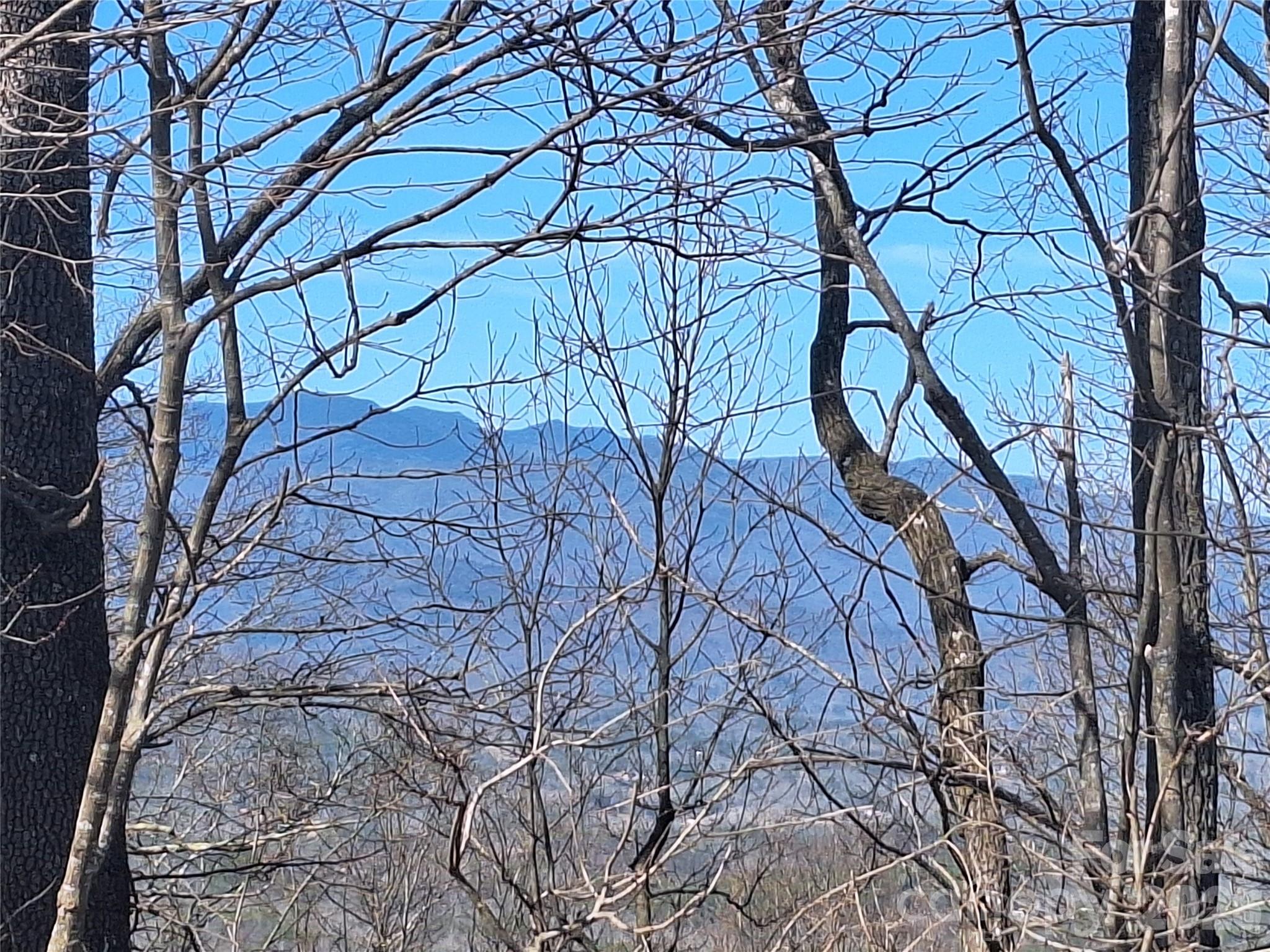965 Wolf Pen Road Old Fort, NC 28762 - Photo 26 of 26 a backyard of a house with lots of green space