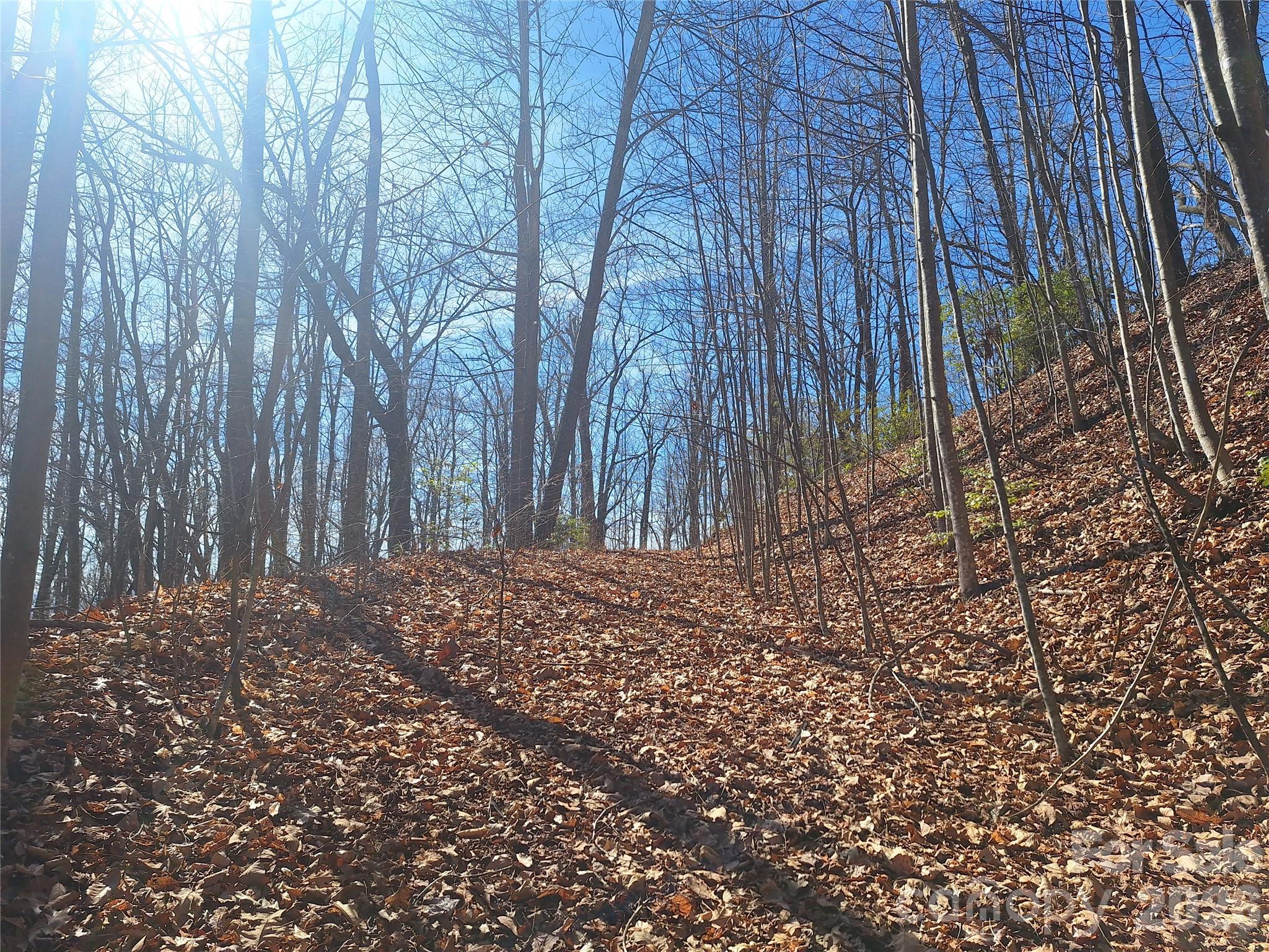 965 Wolf Pen Road Old Fort, NC 28762 - Photo 3 of 26 a backyard of a house with lots of green space