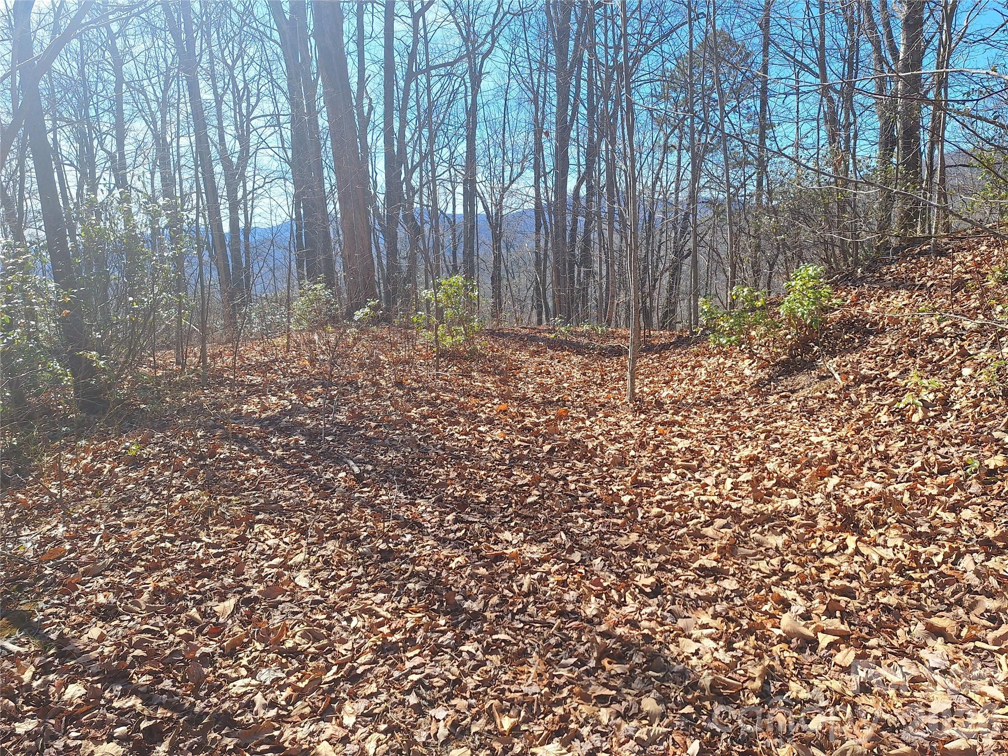 965 Wolf Pen Road Old Fort, NC 28762 - Photo 4 of 26 a view of outdoor space and deck