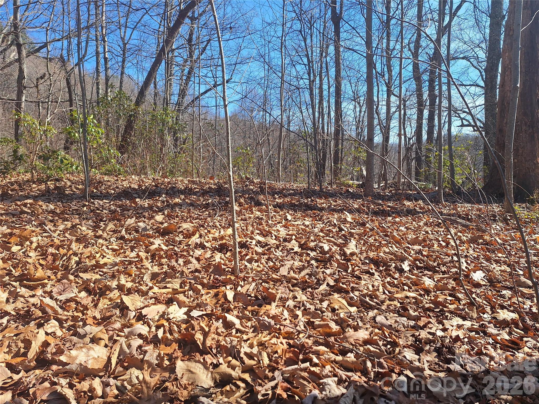 965 Wolf Pen Road Old Fort, NC 28762 - Photo 5 of 26 a backyard of a house with lots of green space
