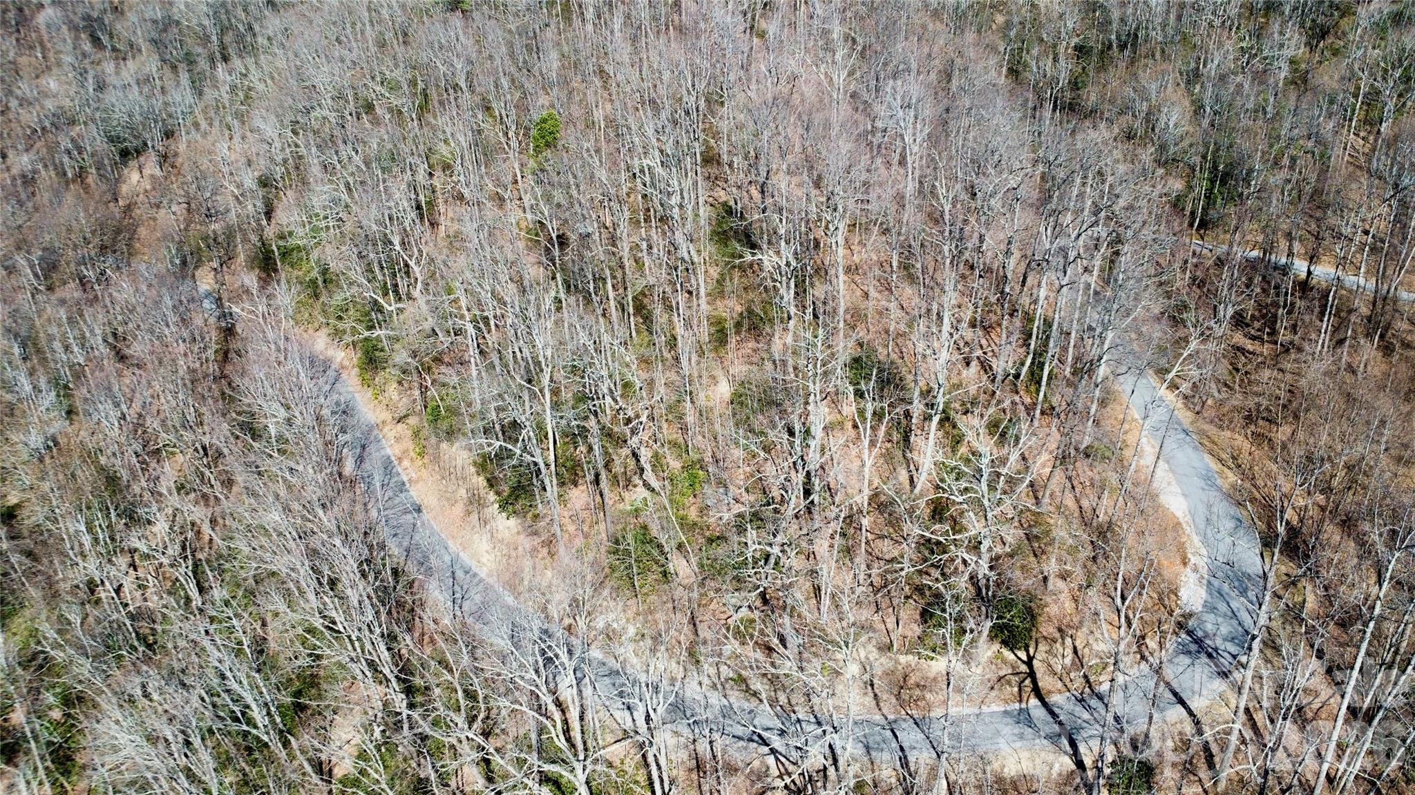 965 Wolf Pen Road Old Fort, NC 28762 - Photo 6 of 26 a view of a yard