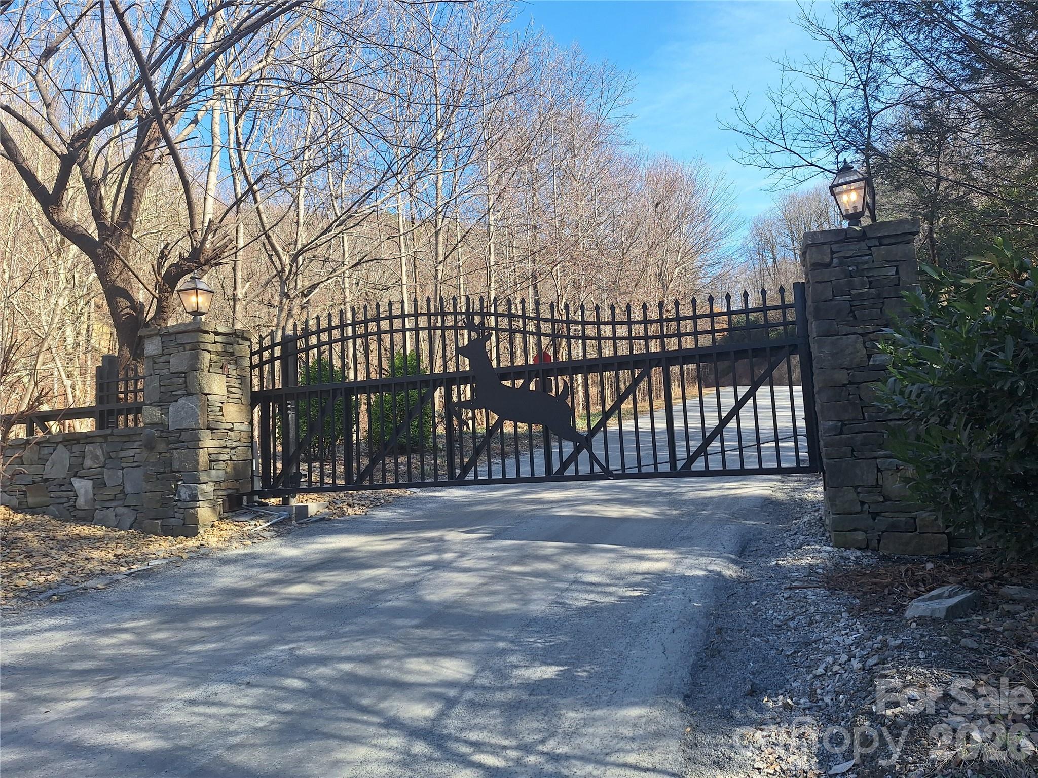 965 Wolf Pen Road Old Fort, NC 28762 - Photo 8 of 26 a view of backyard with large trees