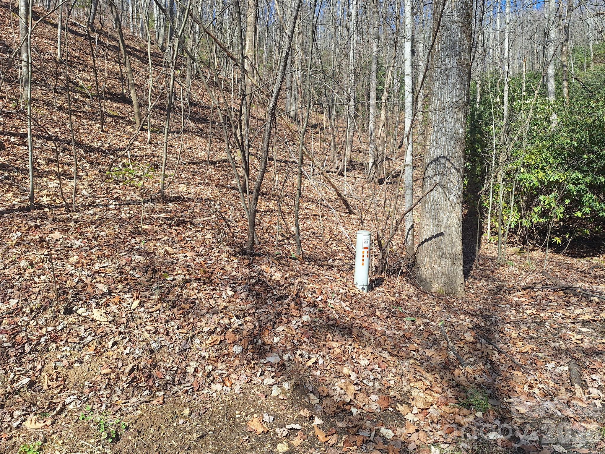 965 Wolf Pen Road Old Fort, NC 28762 - Photo 9 of 26