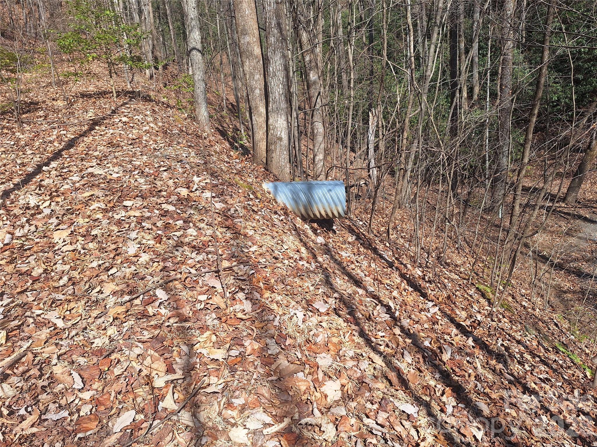 965 Wolf Pen Road Old Fort, NC 28762 - Photo 10 of 26 a view of a yard with plants and wooden fence