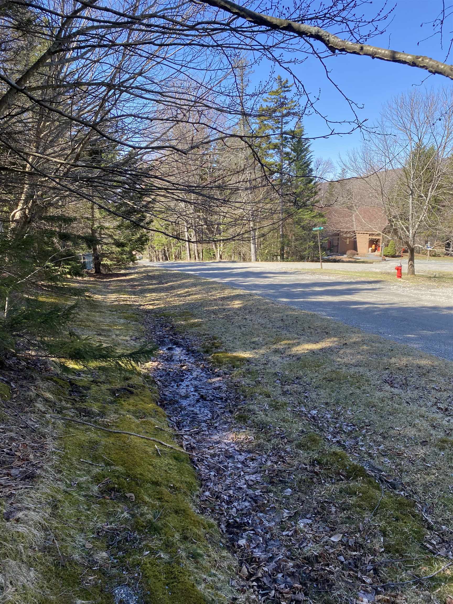 Lot 2 Mann Road Wilmington, VT 05363 - Photo 1 of 14 Gallery Image 1