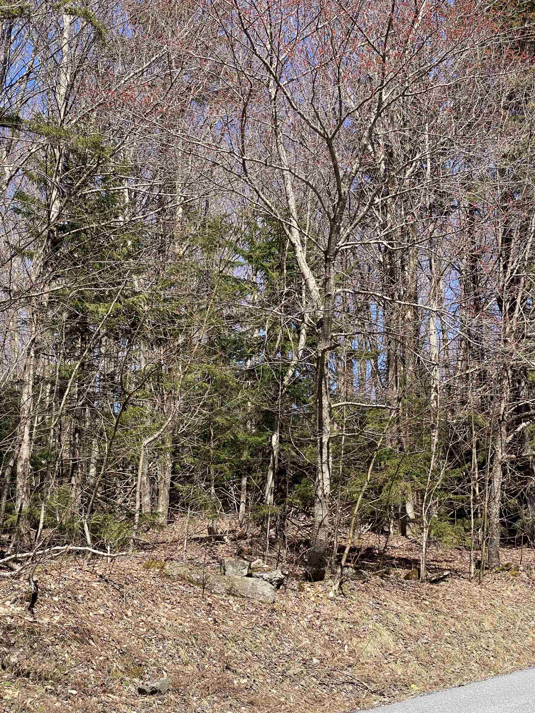 Lot 2 Mann Road Wilmington, VT 05363 - Photo 12 of 14 Gallery Image 12