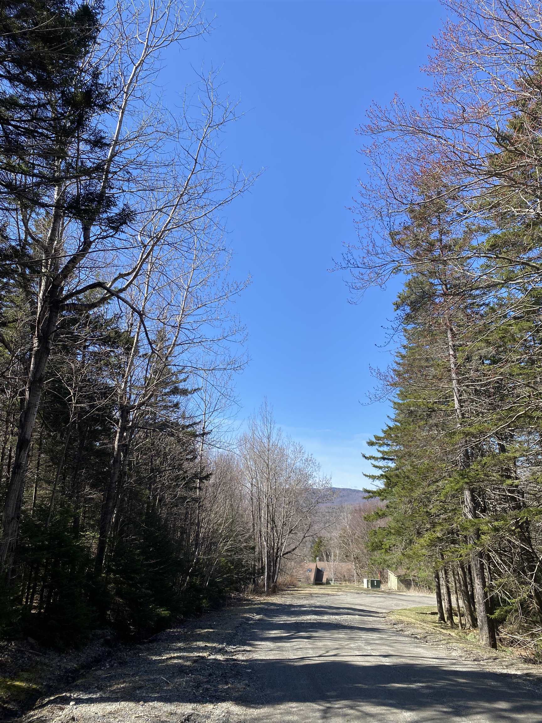 Lot 2 Mann Road Wilmington, VT 05363 - Photo 4 of 14 Gallery Image 4
