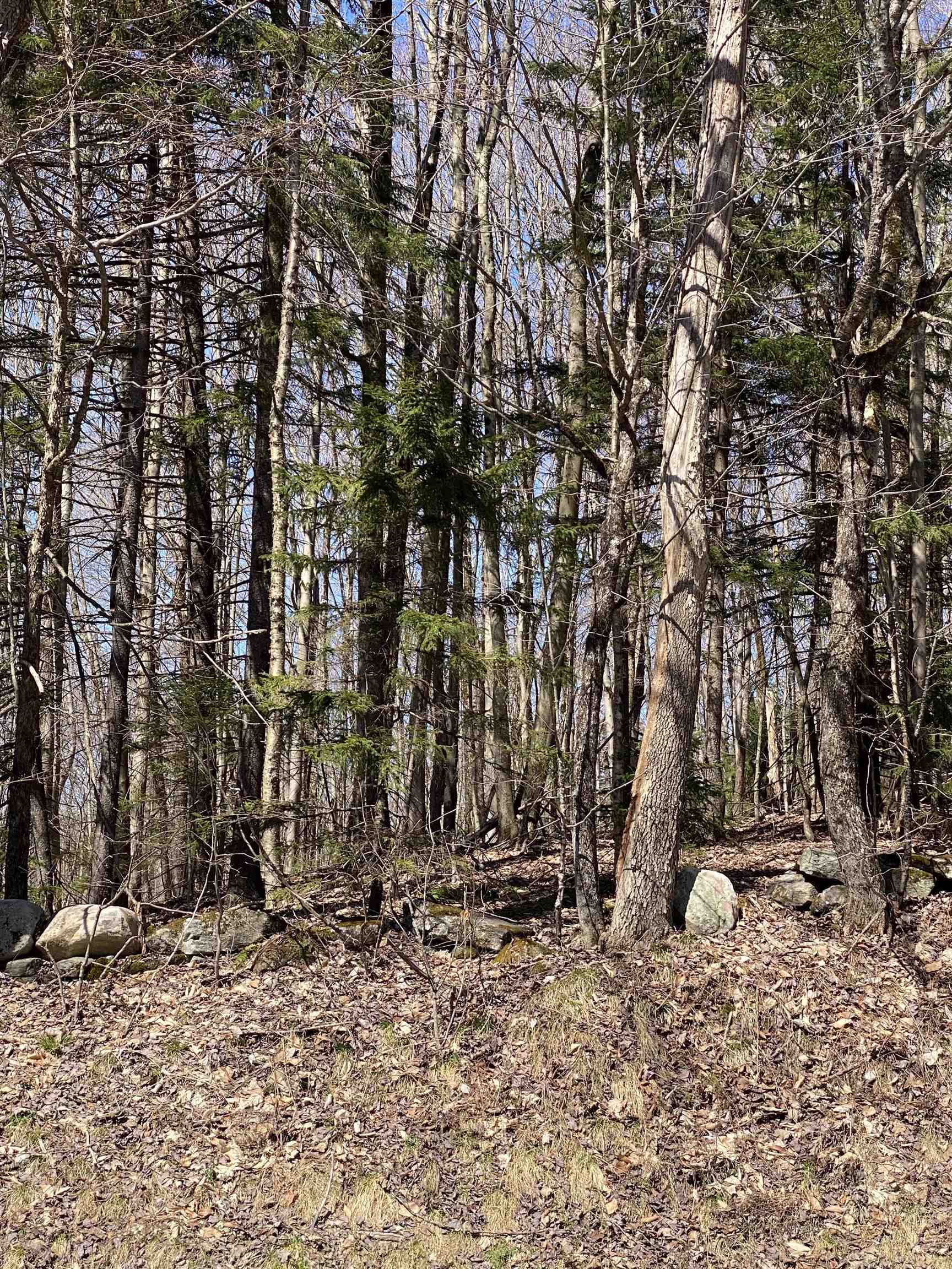 Lot 2 Mann Road Wilmington, VT 05363 - Photo 7 of 14 Gallery Image 7