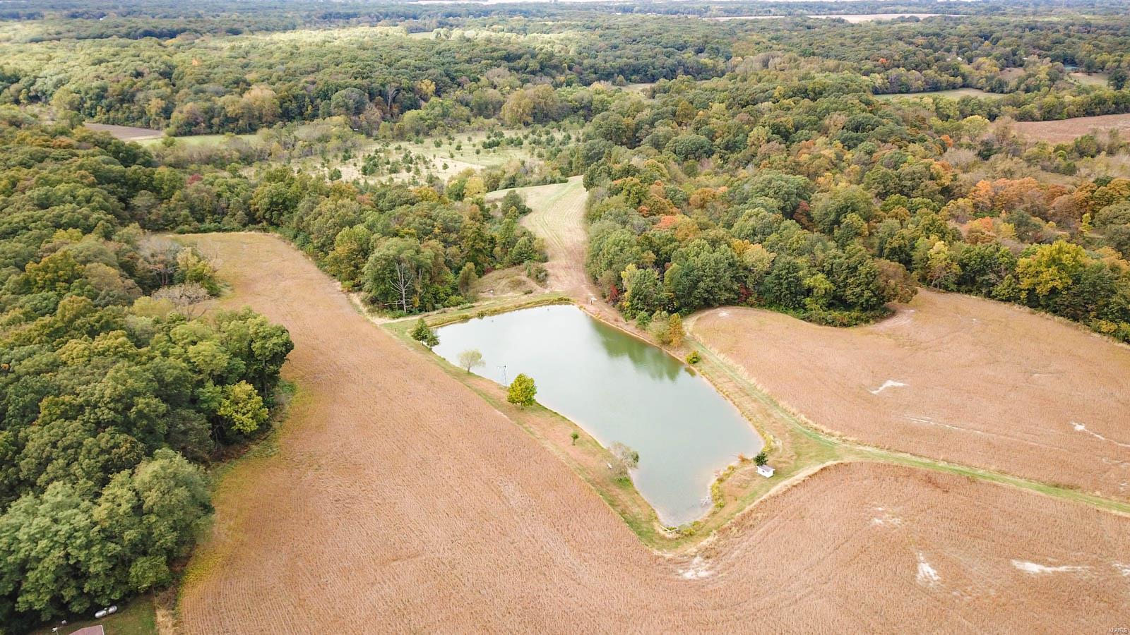 3697 Bono Road Staunton, IL 62088 - Photo 12 of 93