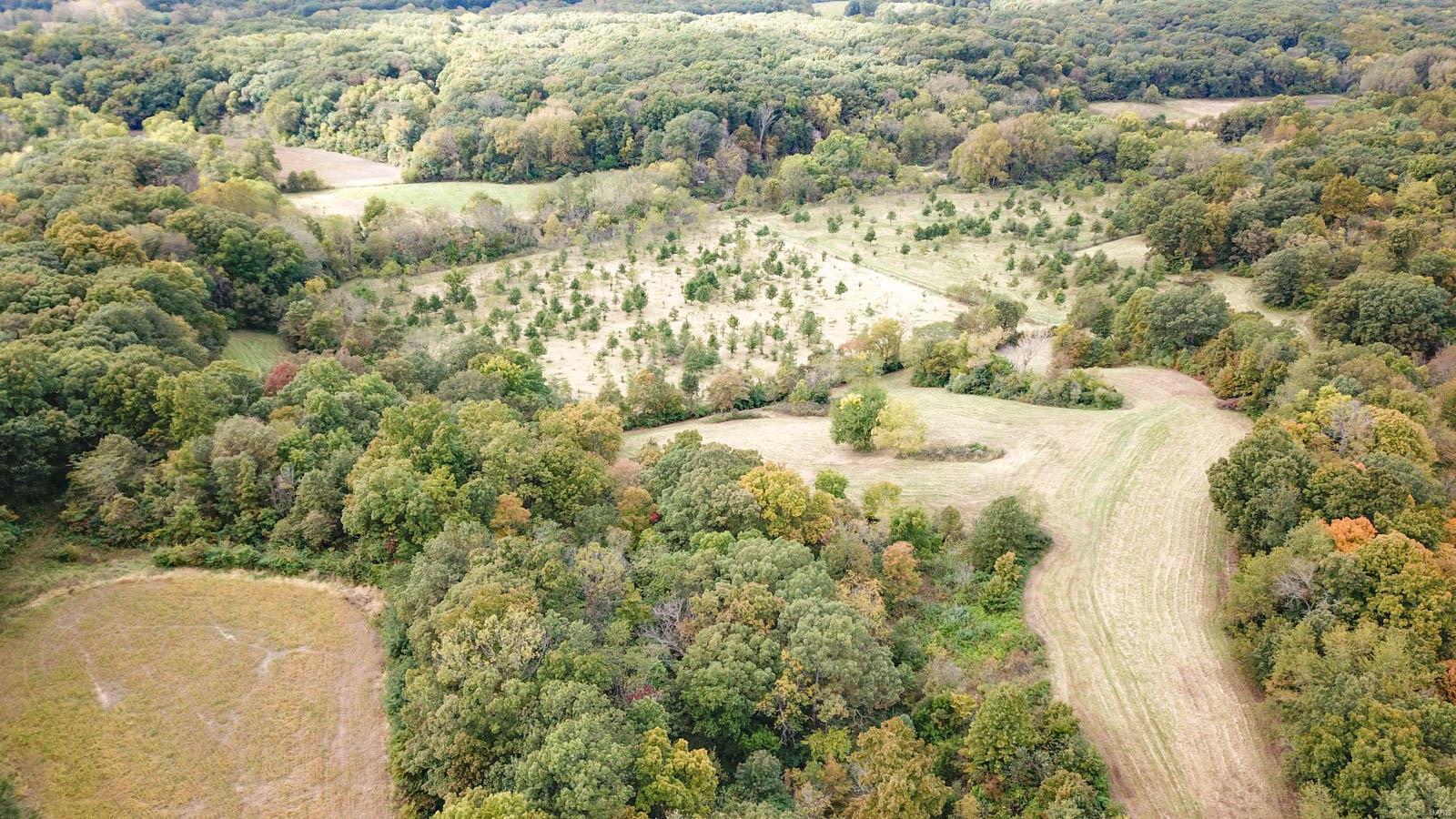 3697 Bono Road Staunton, IL 62088 - Photo 13 of 93