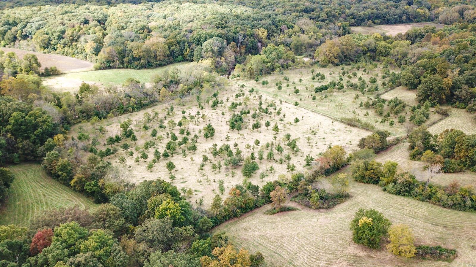 3697 Bono Road Staunton, IL 62088 - Photo 14 of 93