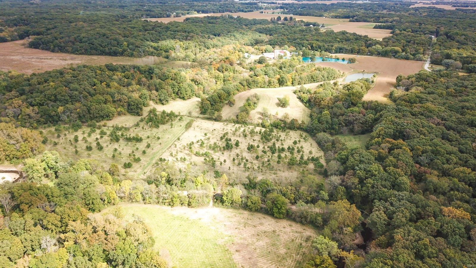 3697 Bono Road Staunton, IL 62088 - Photo 16 of 93