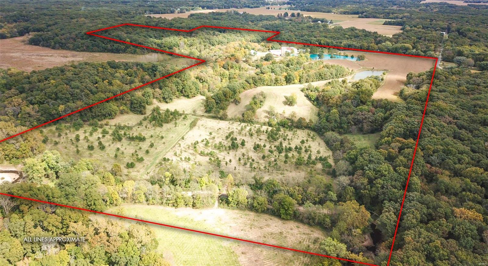 3697 Bono Road Staunton, IL 62088 - Photo 17 of 93