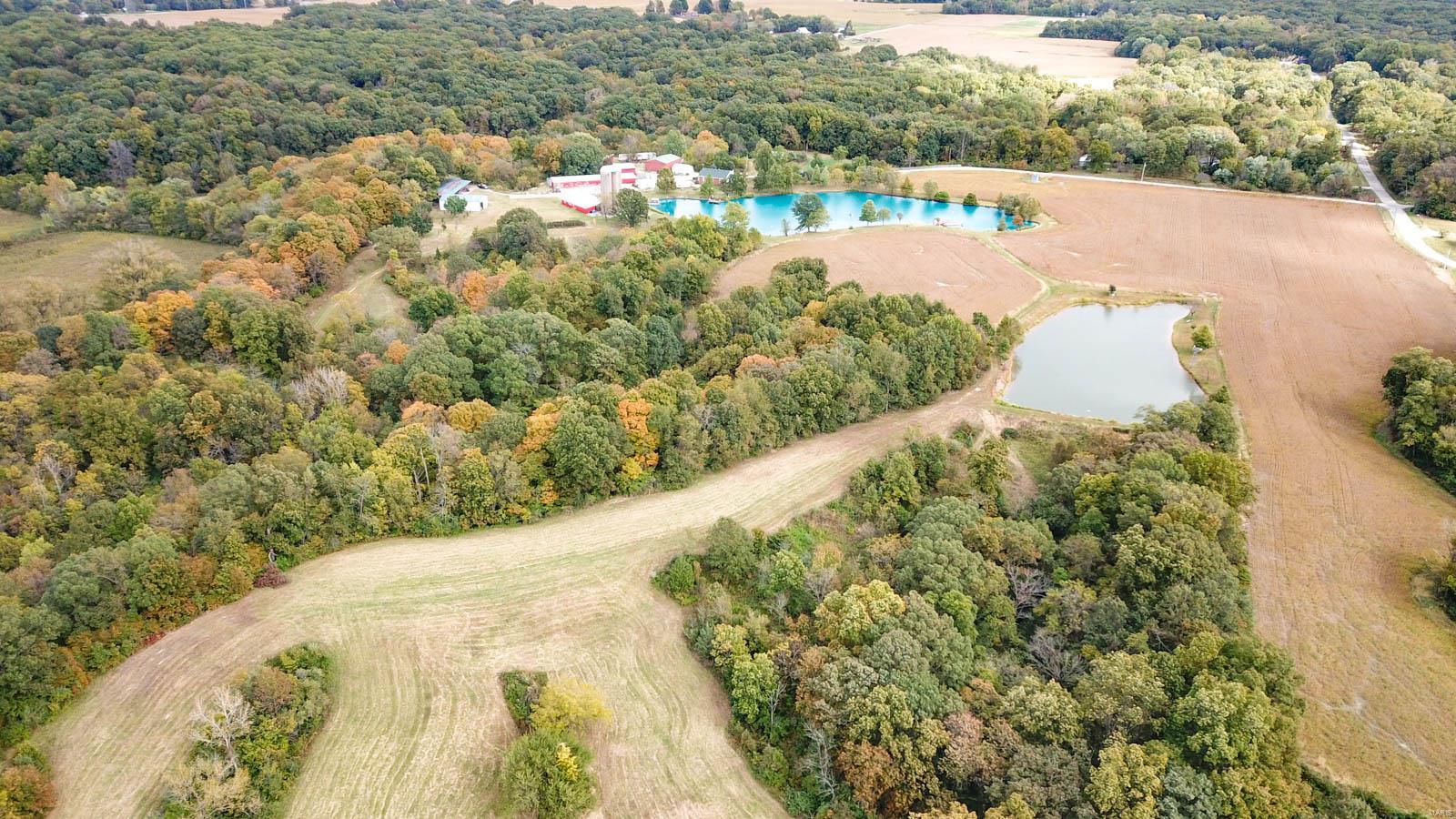 3697 Bono Road Staunton, IL 62088 - Photo 19 of 93