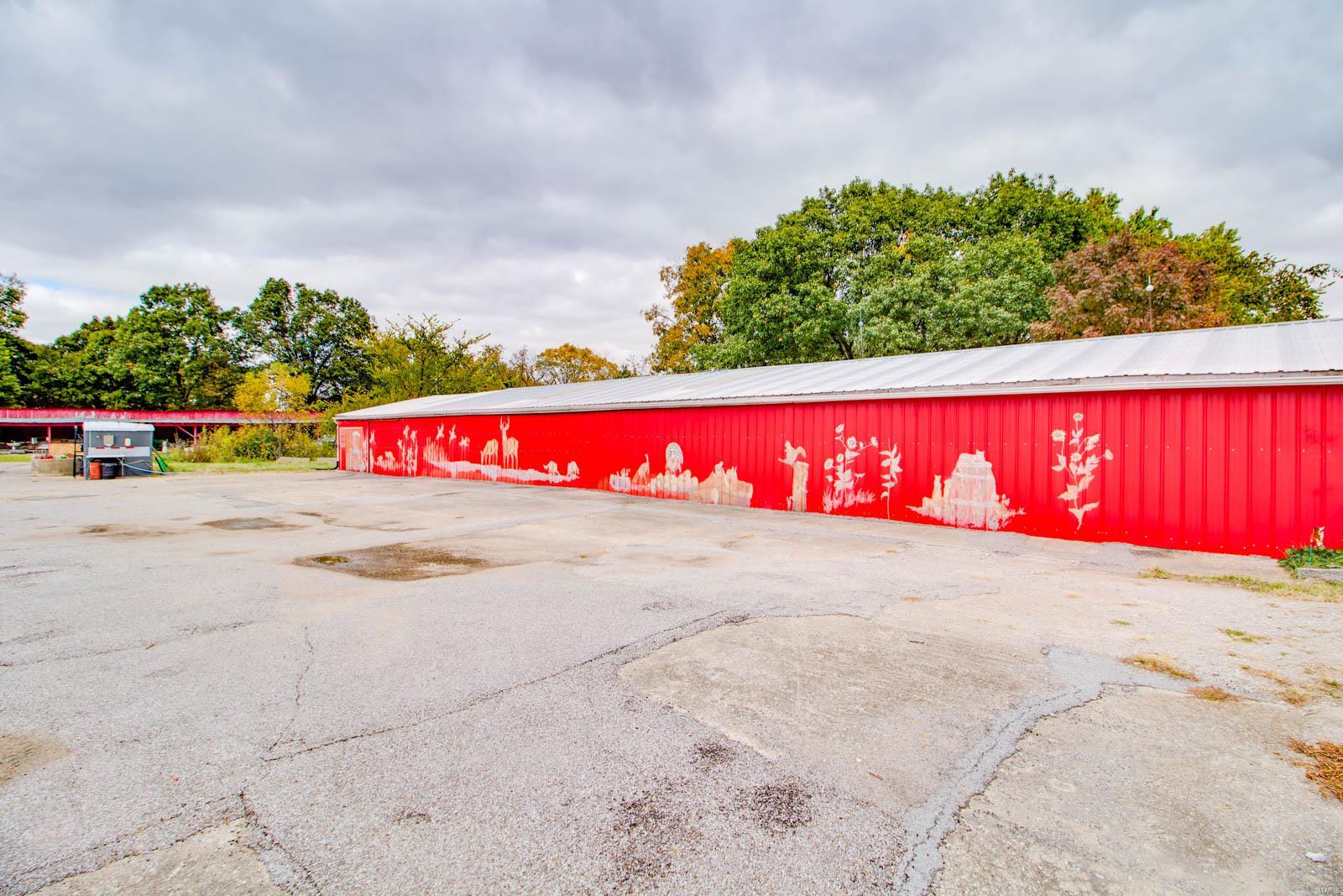 3697 Bono Road Staunton, IL 62088 - Photo 28 of 93