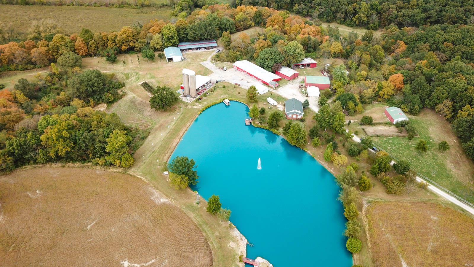 3697 Bono Road Staunton, IL 62088 - Photo 4 of 93