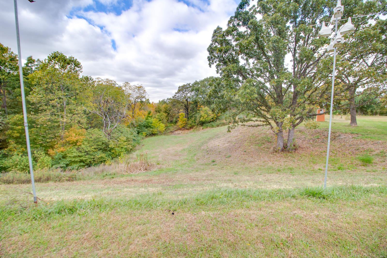 3697 Bono Road Staunton, IL 62088 - Photo 36 of 93
