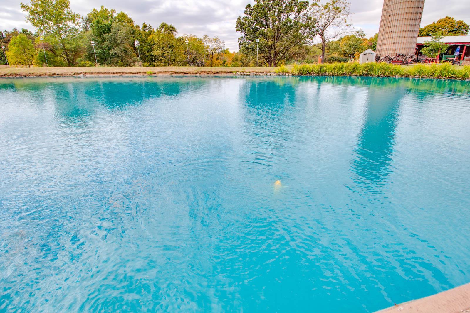 3697 Bono Road Staunton, IL 62088 - Photo 48 of 93