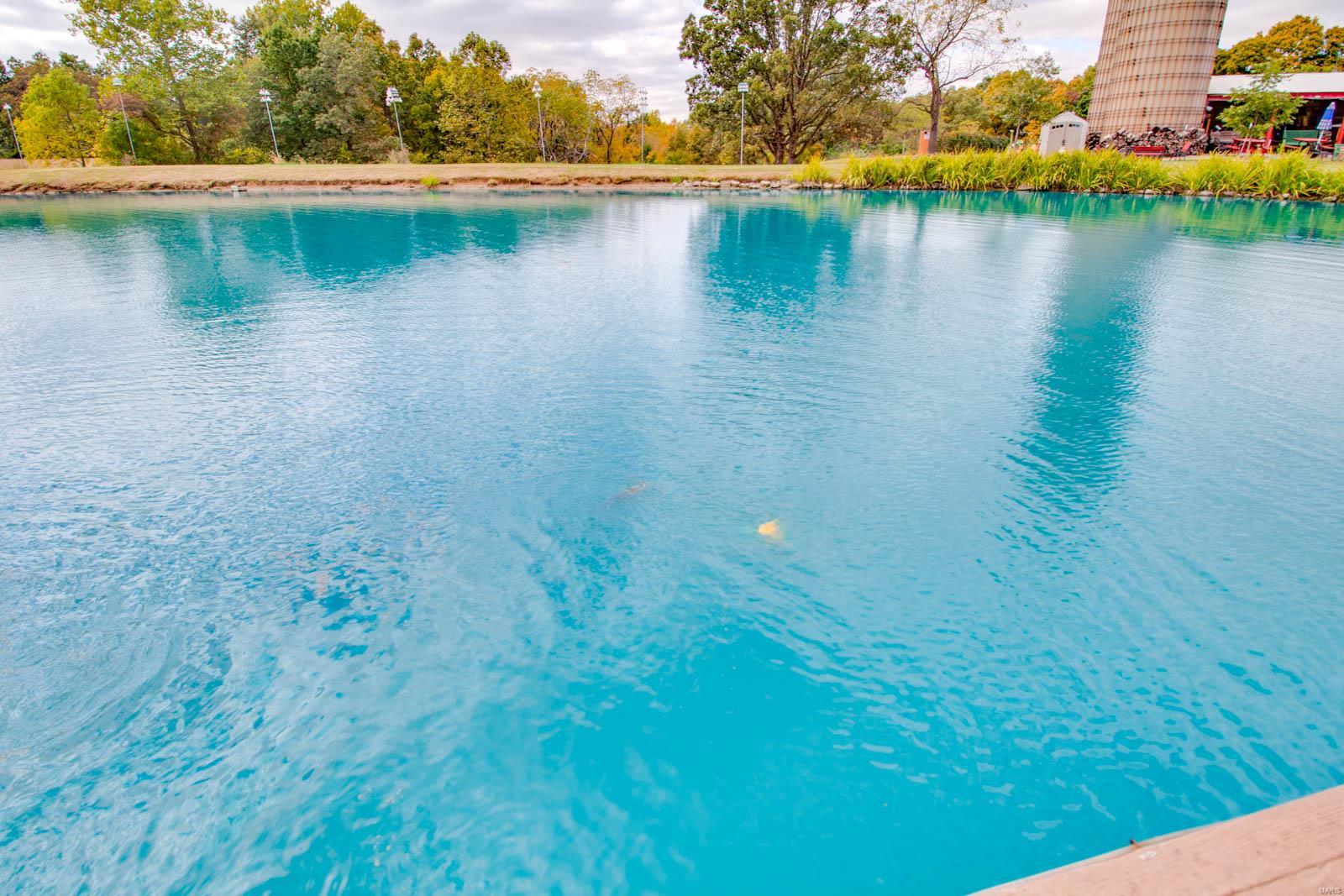 3697 Bono Road Staunton, IL 62088 - Photo 49 of 93
