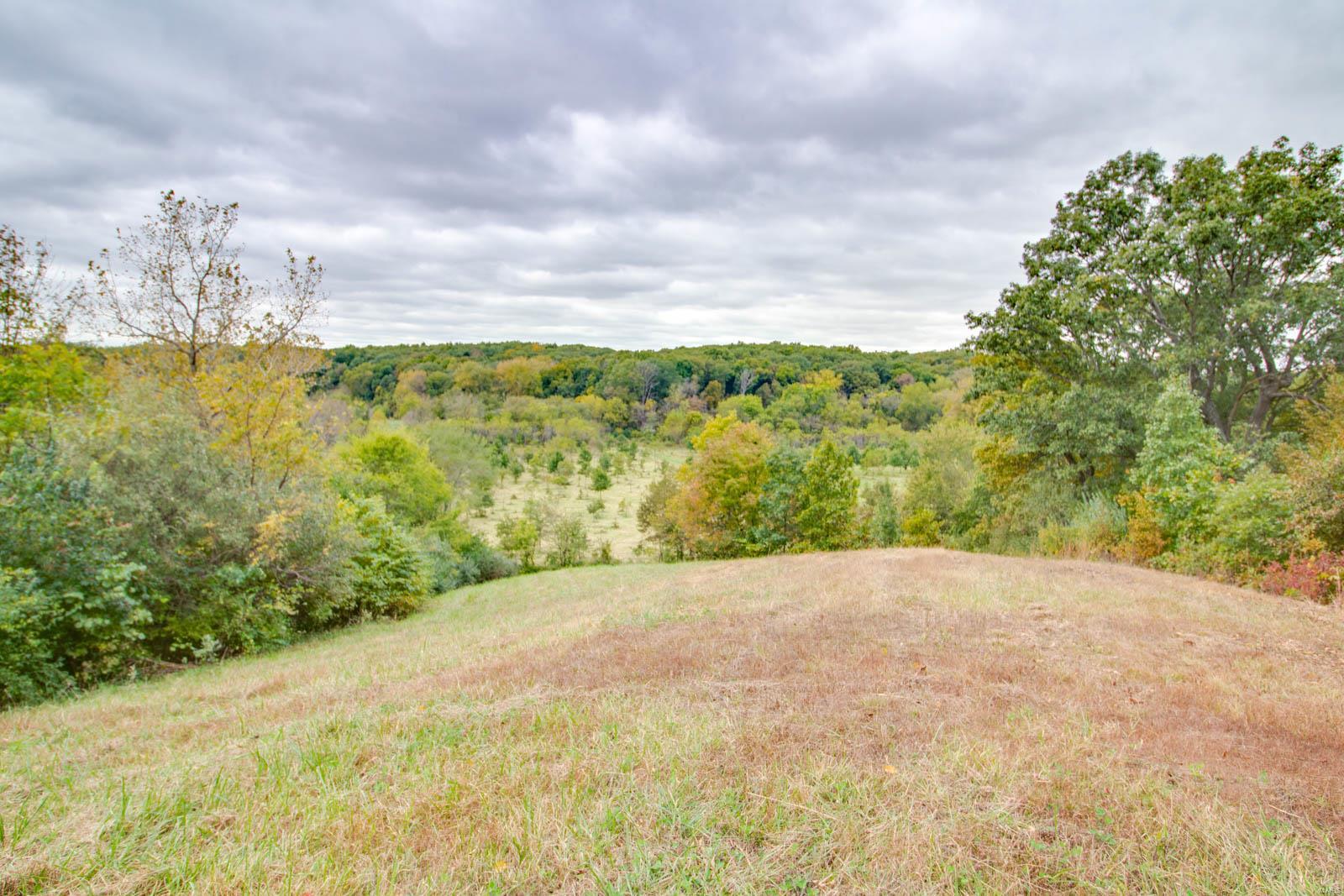 3697 Bono Road Staunton, IL 62088 - Photo 51 of 93