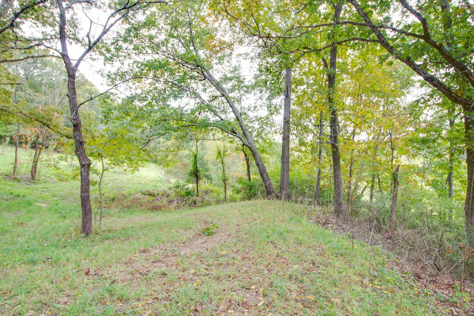 3697 Bono Road Staunton, IL 62088 - Photo 52 of 93