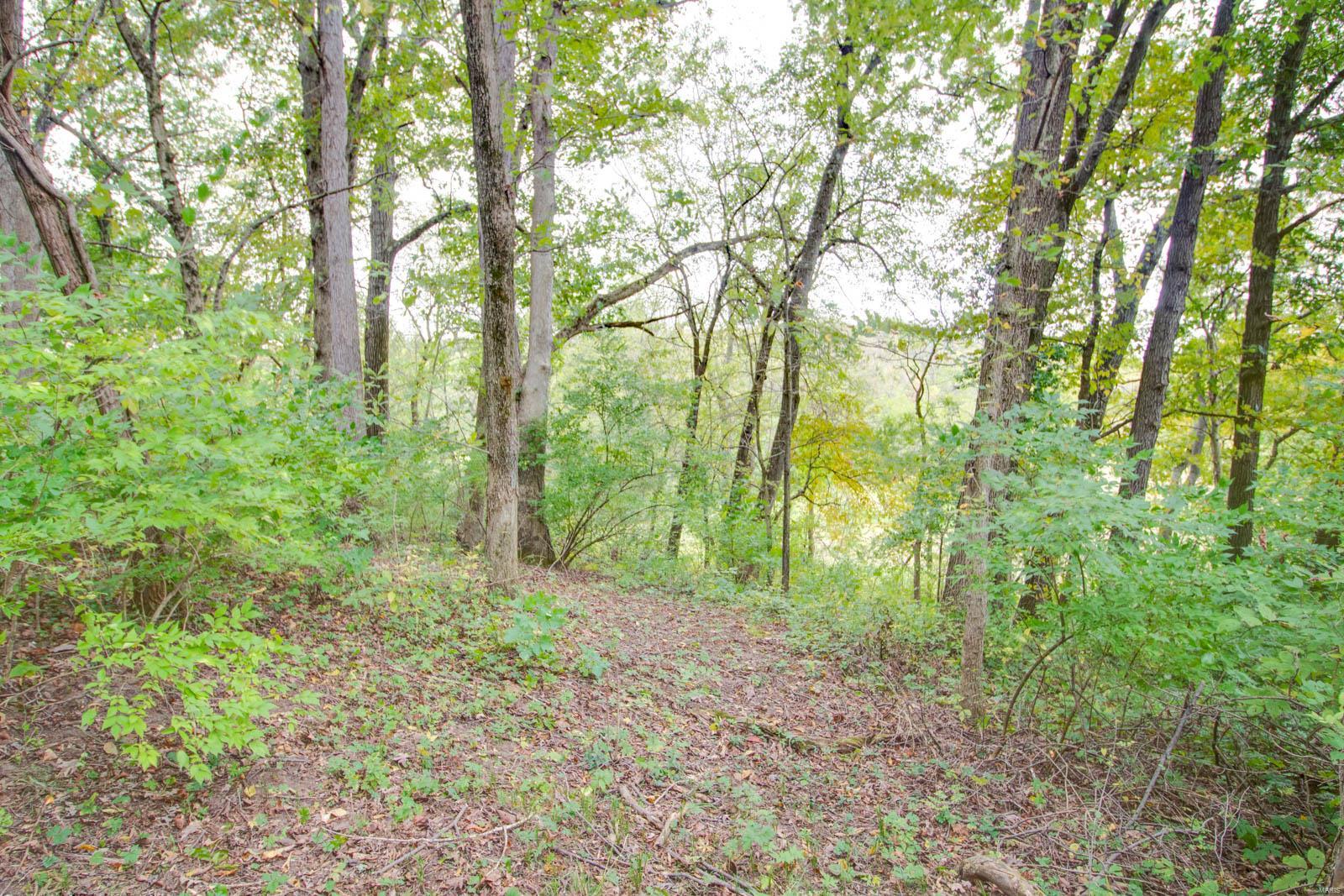 3697 Bono Road Staunton, IL 62088 - Photo 53 of 93