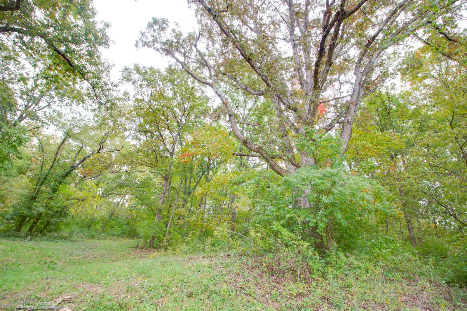 3697 Bono Road Staunton, IL 62088 - Photo 55 of 93