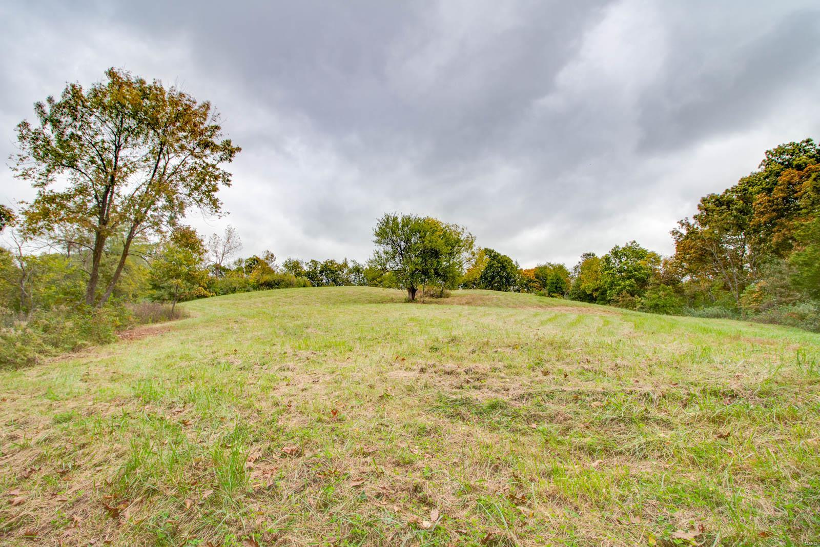 3697 Bono Road Staunton, IL 62088 - Photo 56 of 93